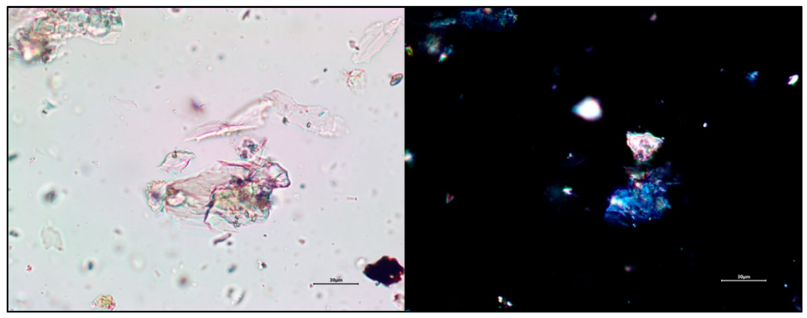 Heritage 04 00145 g009