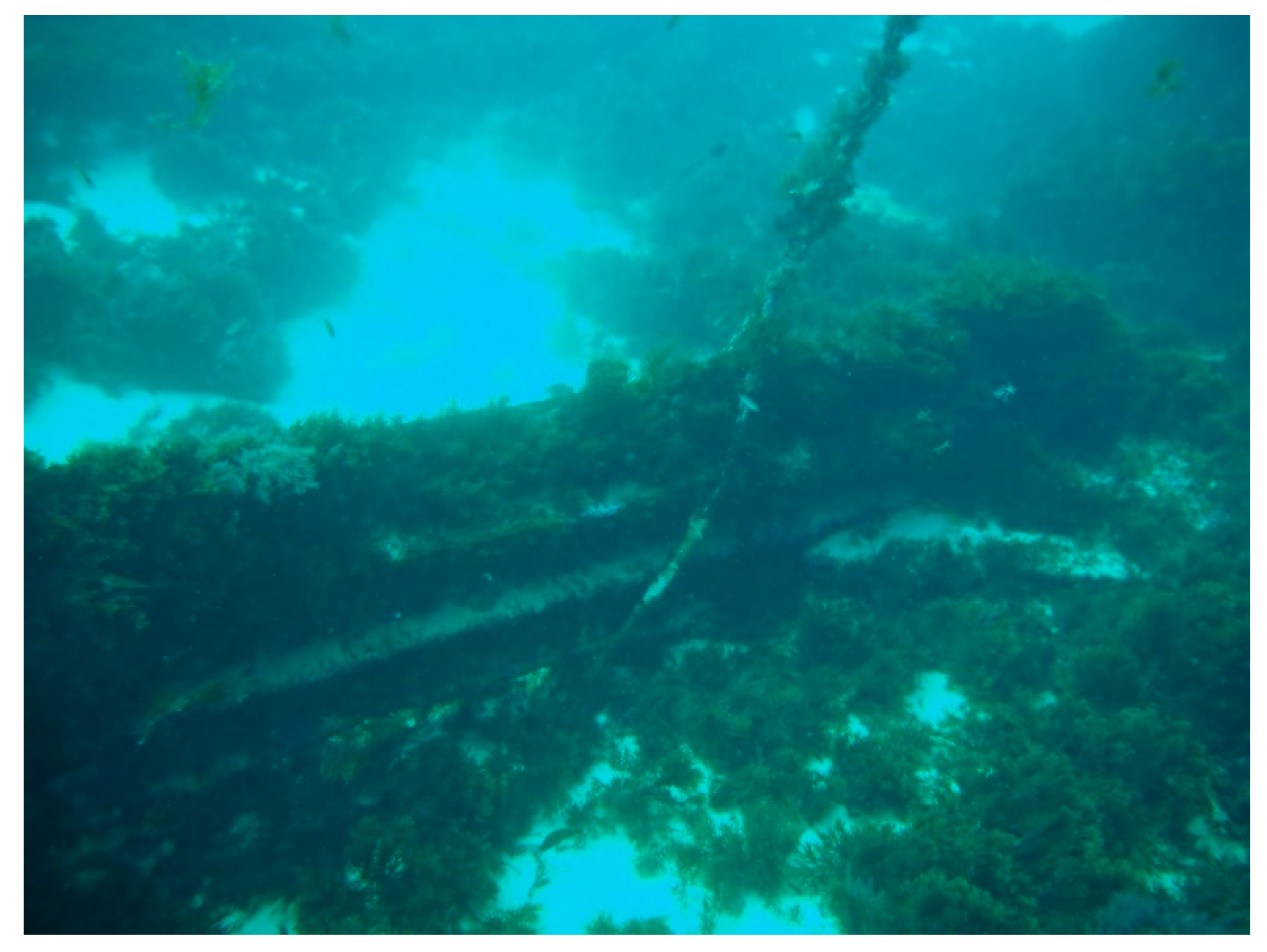 Heritage 04 00151 g002