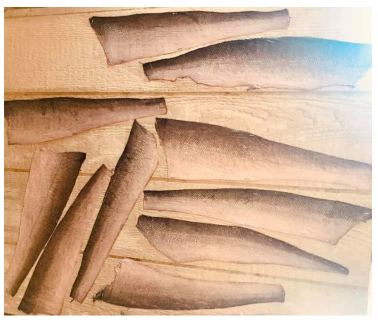 Heritage 04 00234 g008