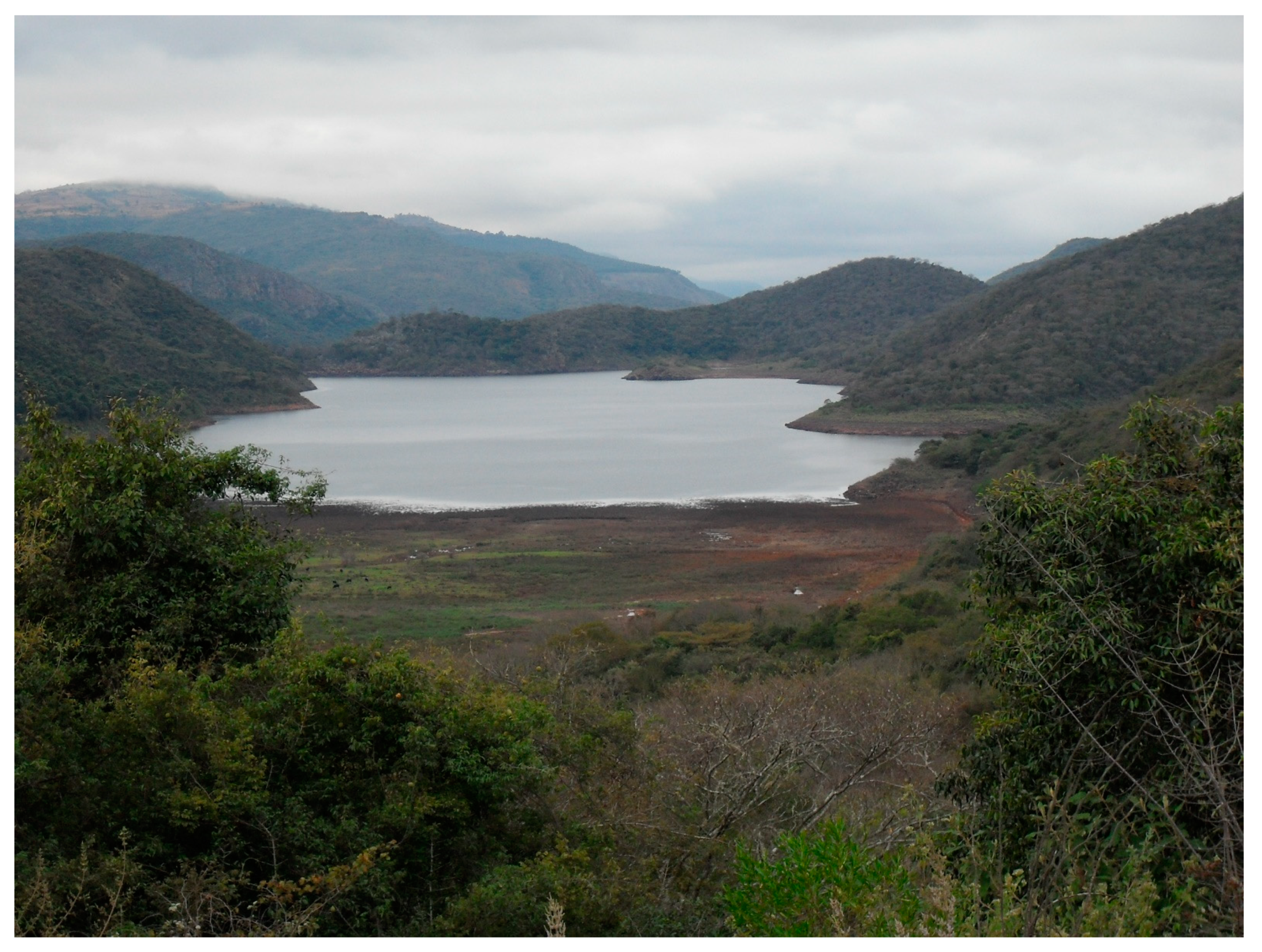 Heritage 04 00249 g008