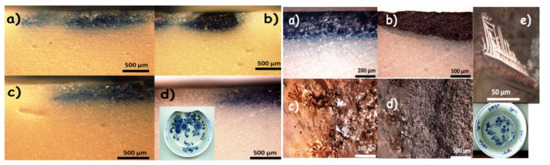 Heritage 05 00013 g0a2 550