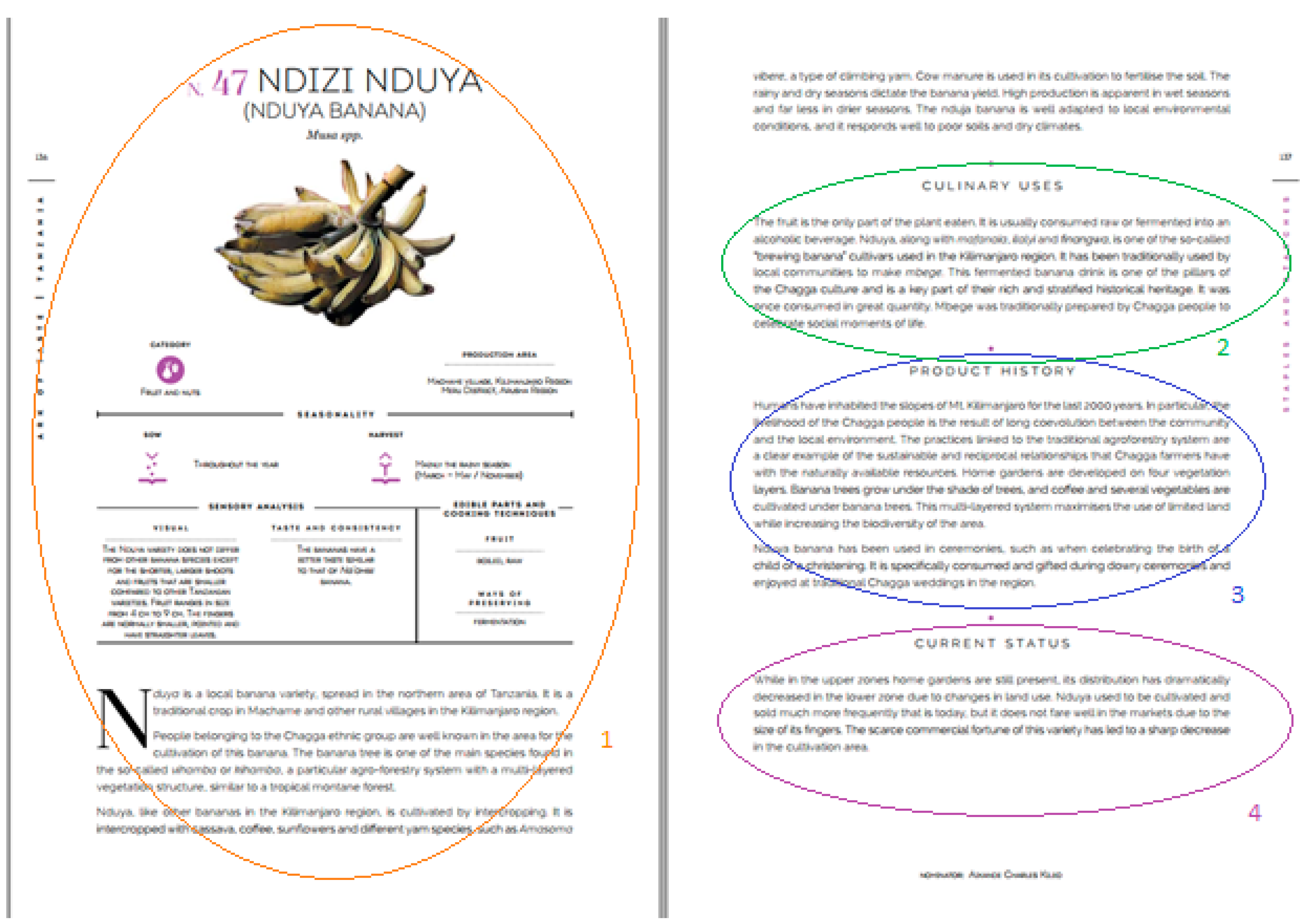 Heritage 05 00030 g002