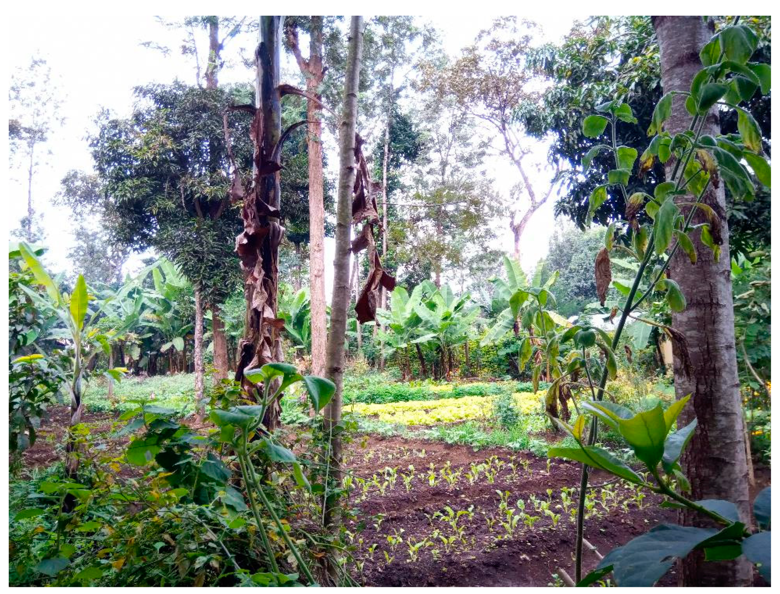 Heritage 05 00030 g003