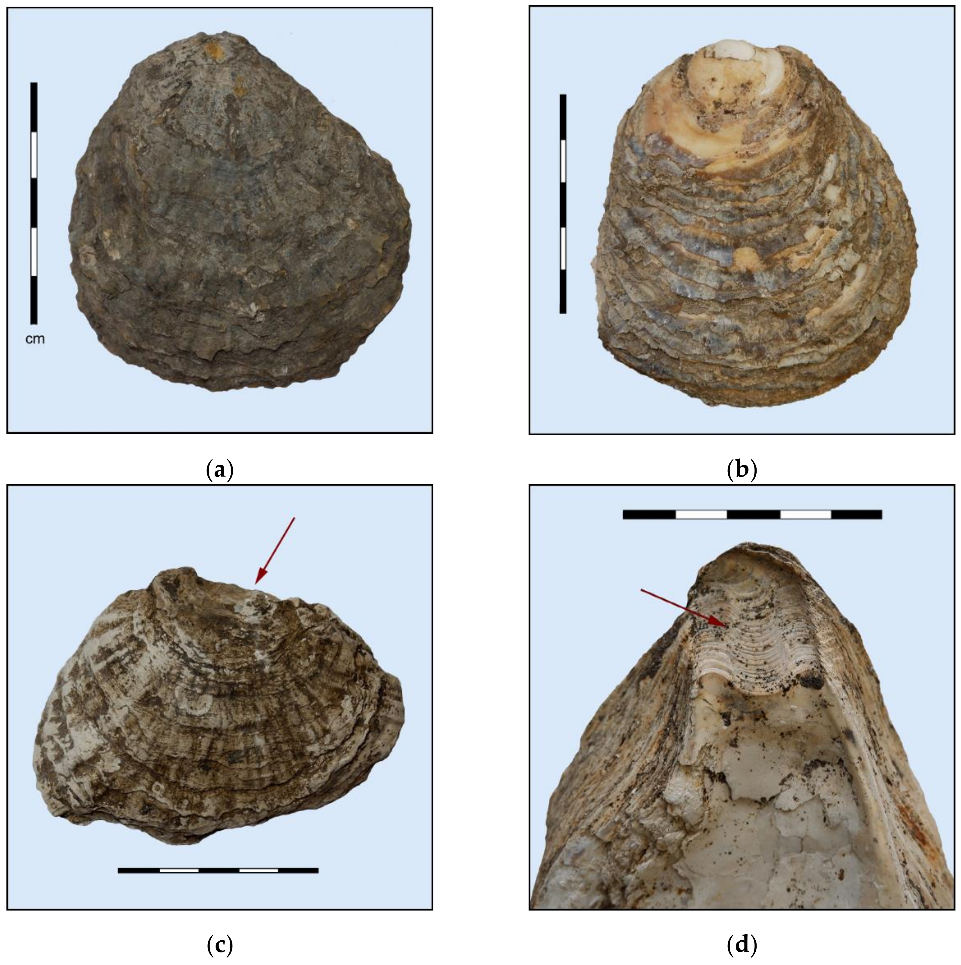 Heritage 05 00044 g002