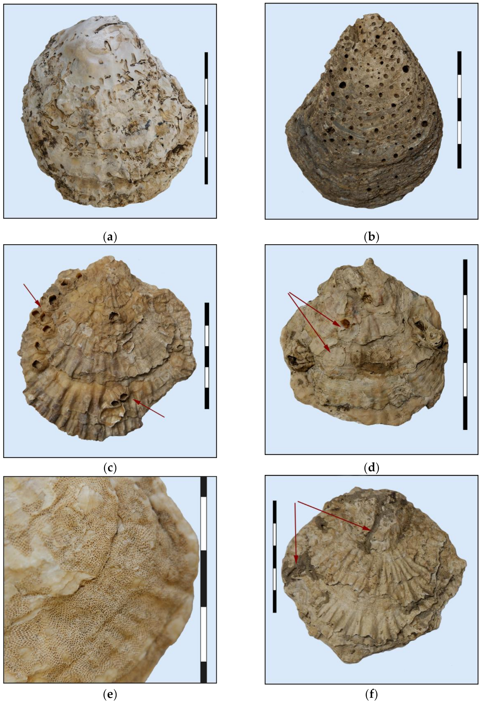 Heritage 05 00044 g003