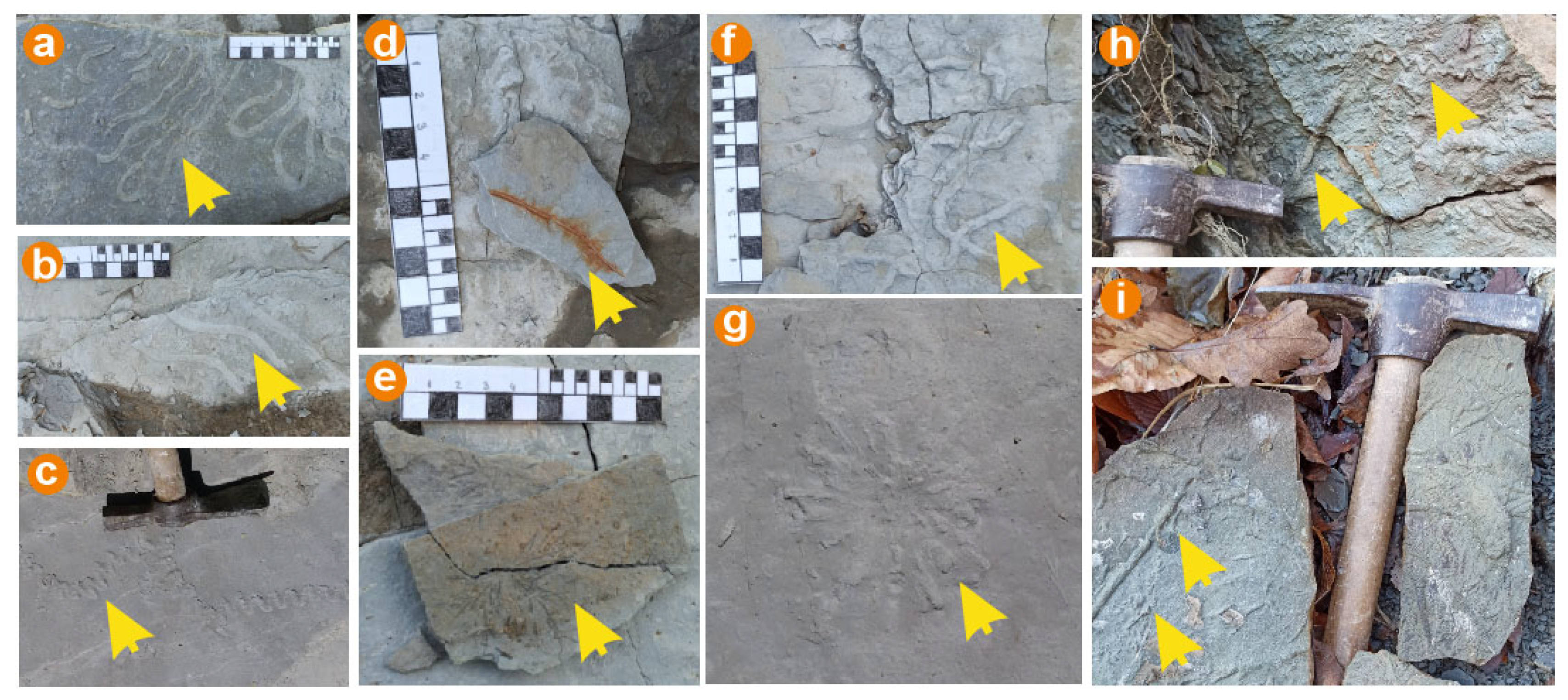 Heritage 05 00048 g004