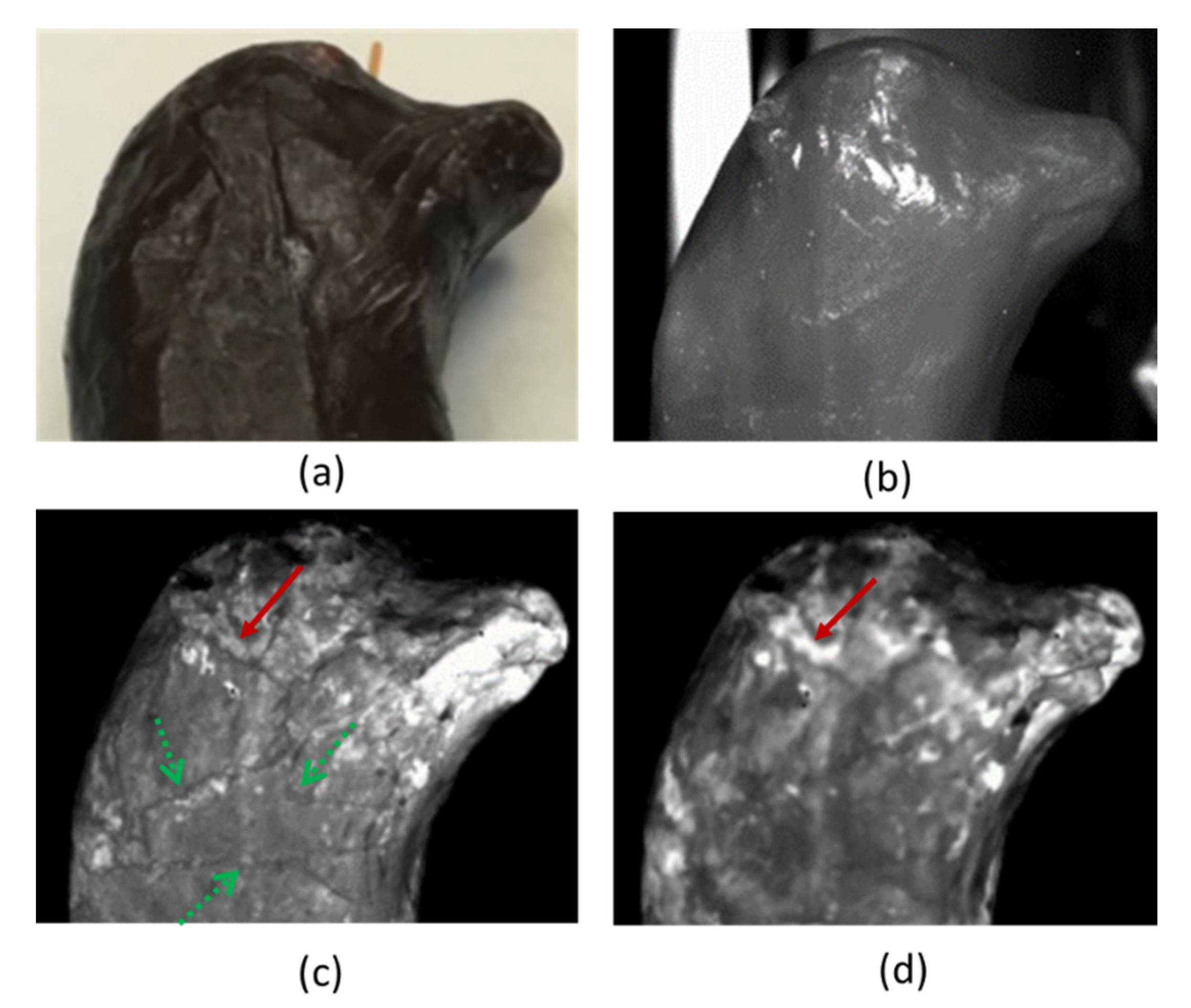 Heritage 05 00074 g008