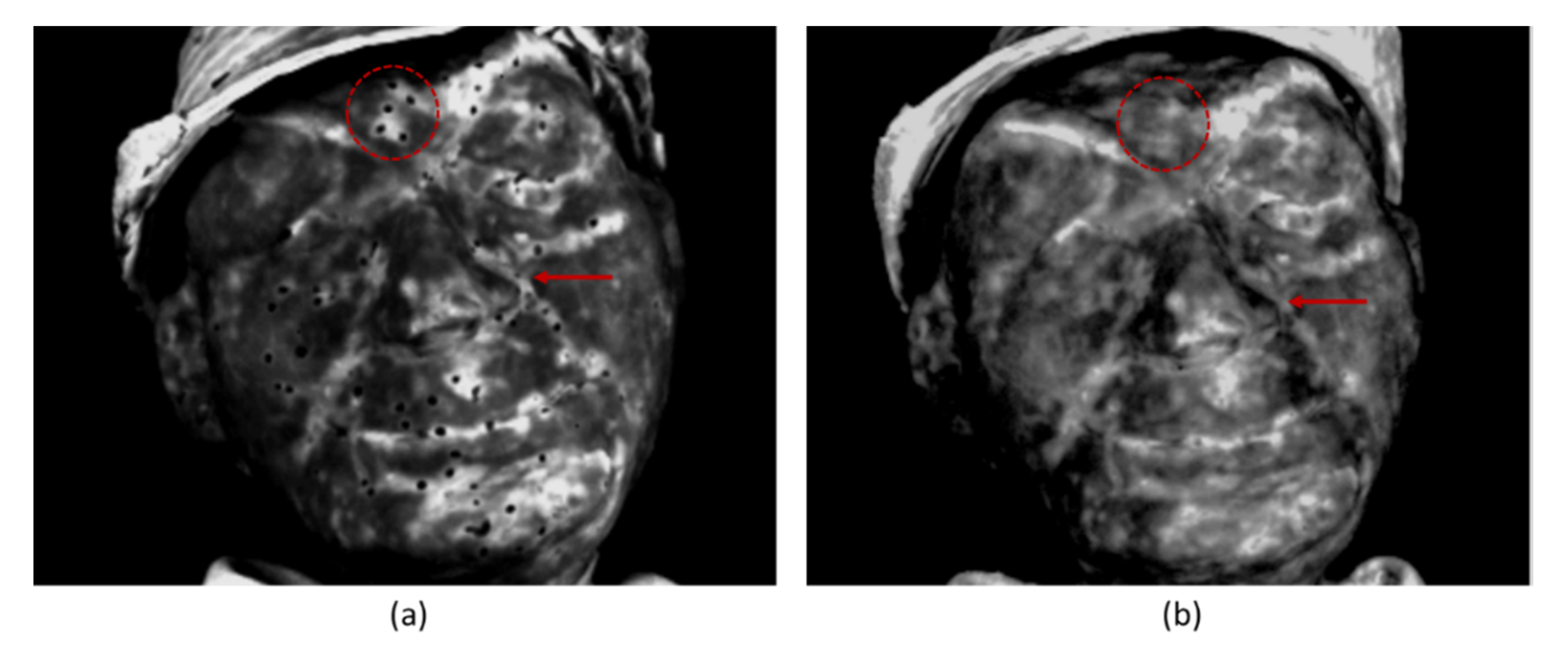 Heritage 05 00074 g011