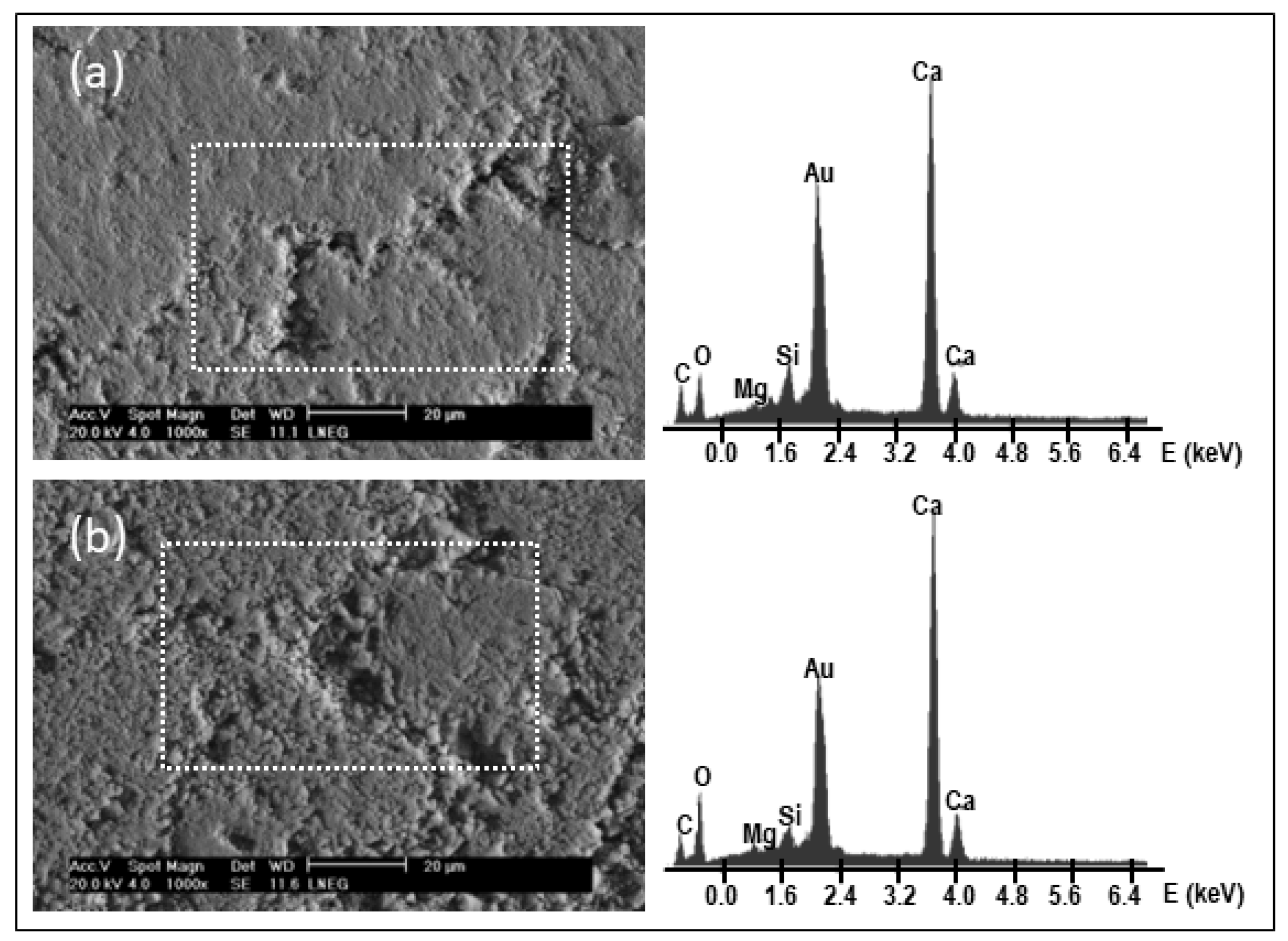 Heritage 05 00078 g008