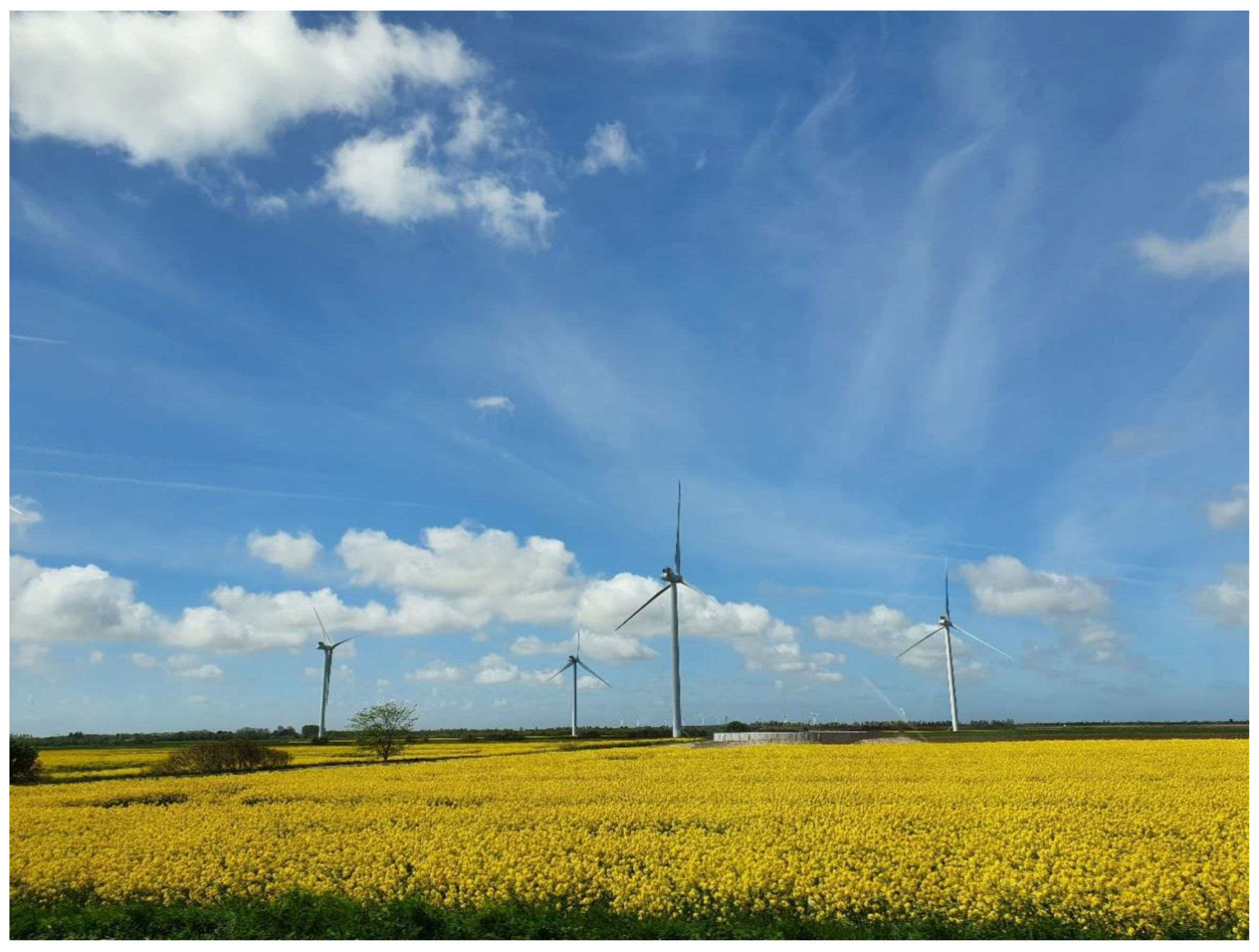 Heritage 05 00116 g009