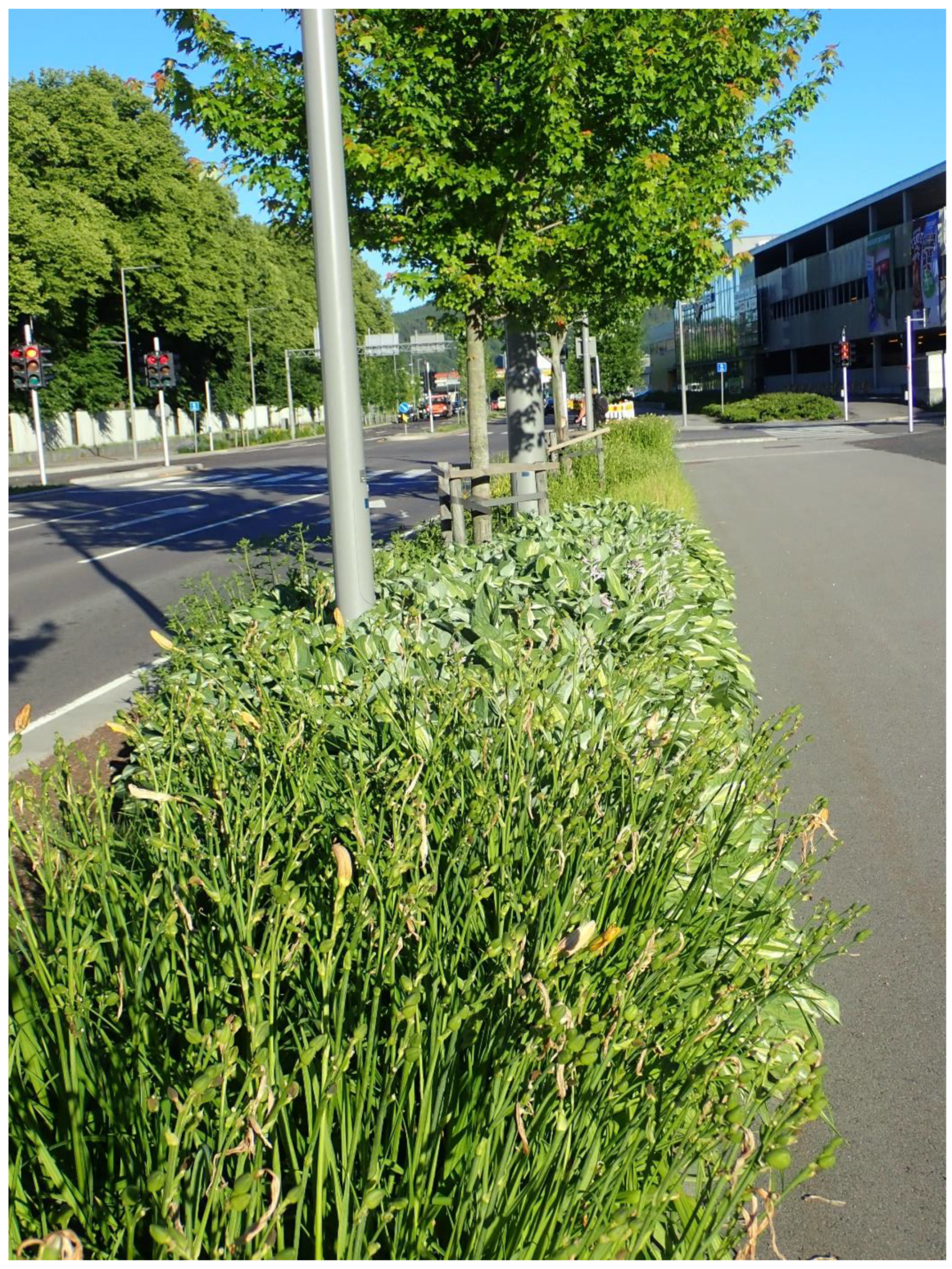 Heritage 05 00116 g013