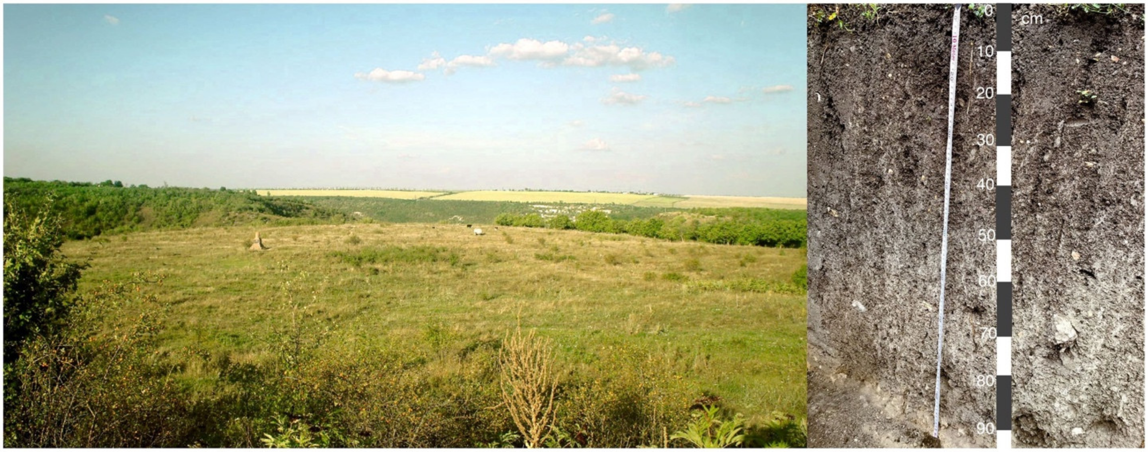 Heritage 05 00118 g009