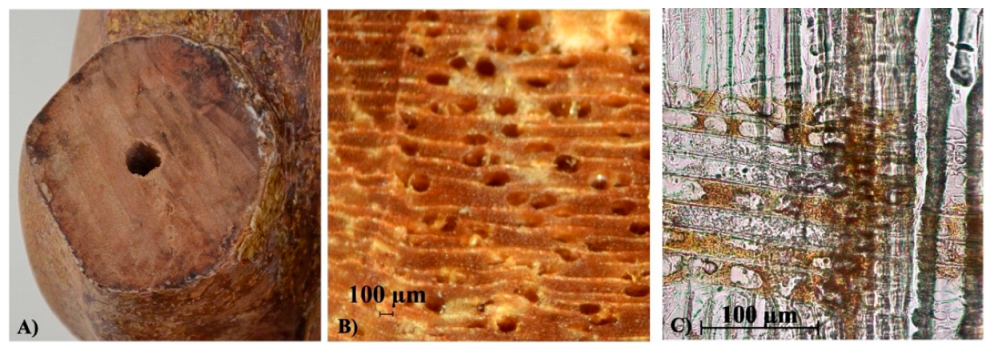 Heritage 05 00129 g004