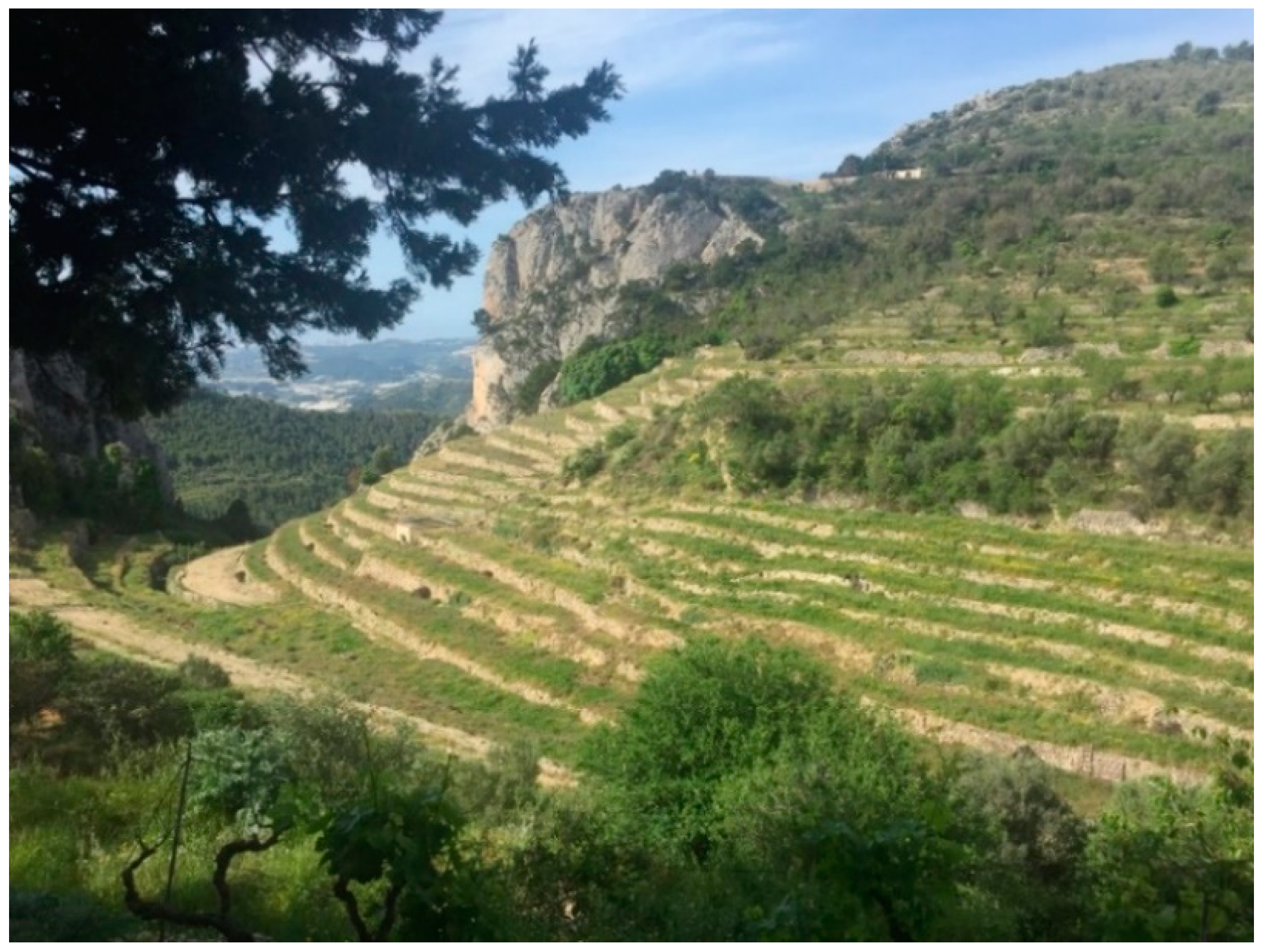 Heritage 05 00156 g006