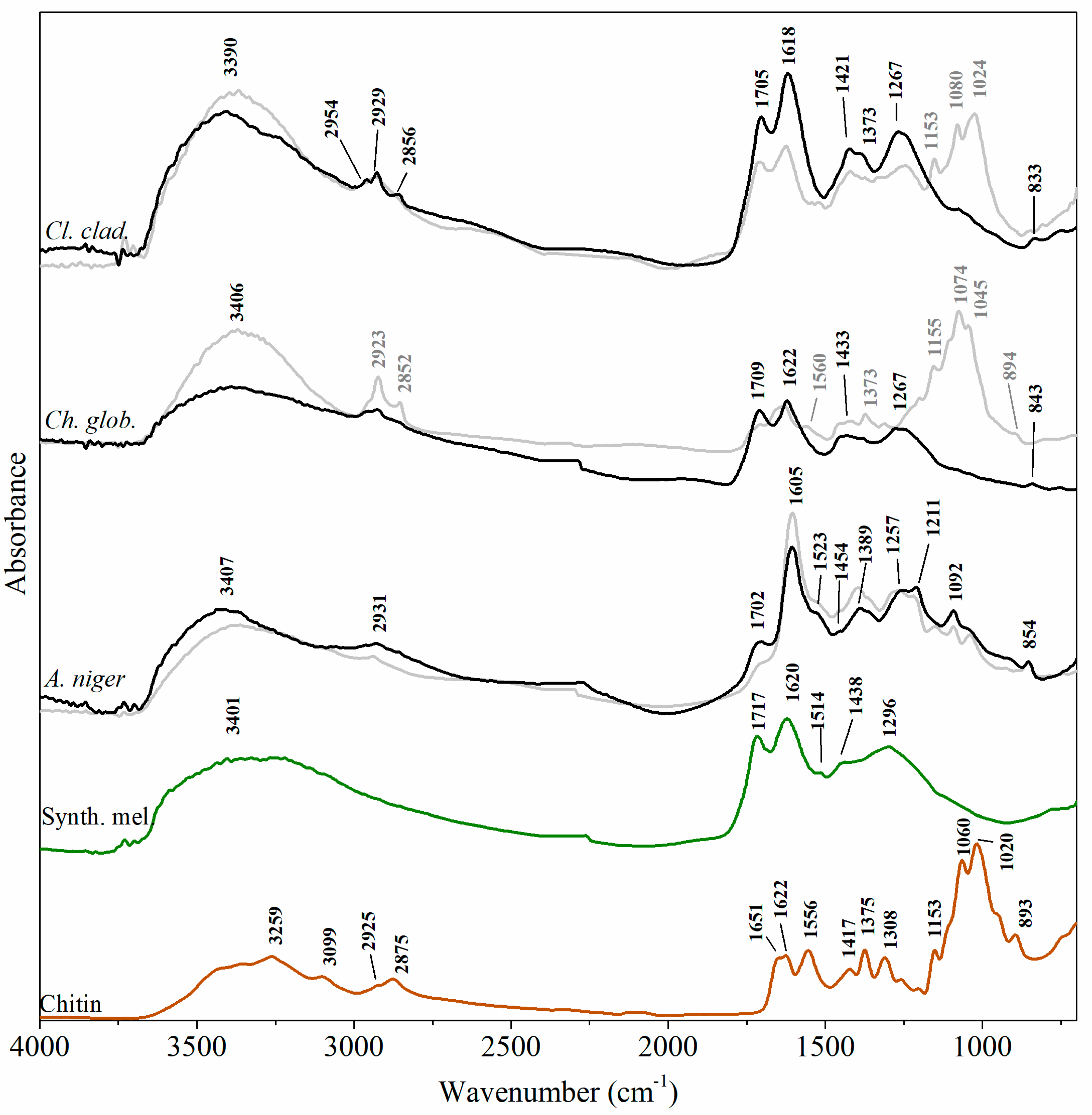 Heritage 05 00158 g002 Heritage 05 00158 g002
