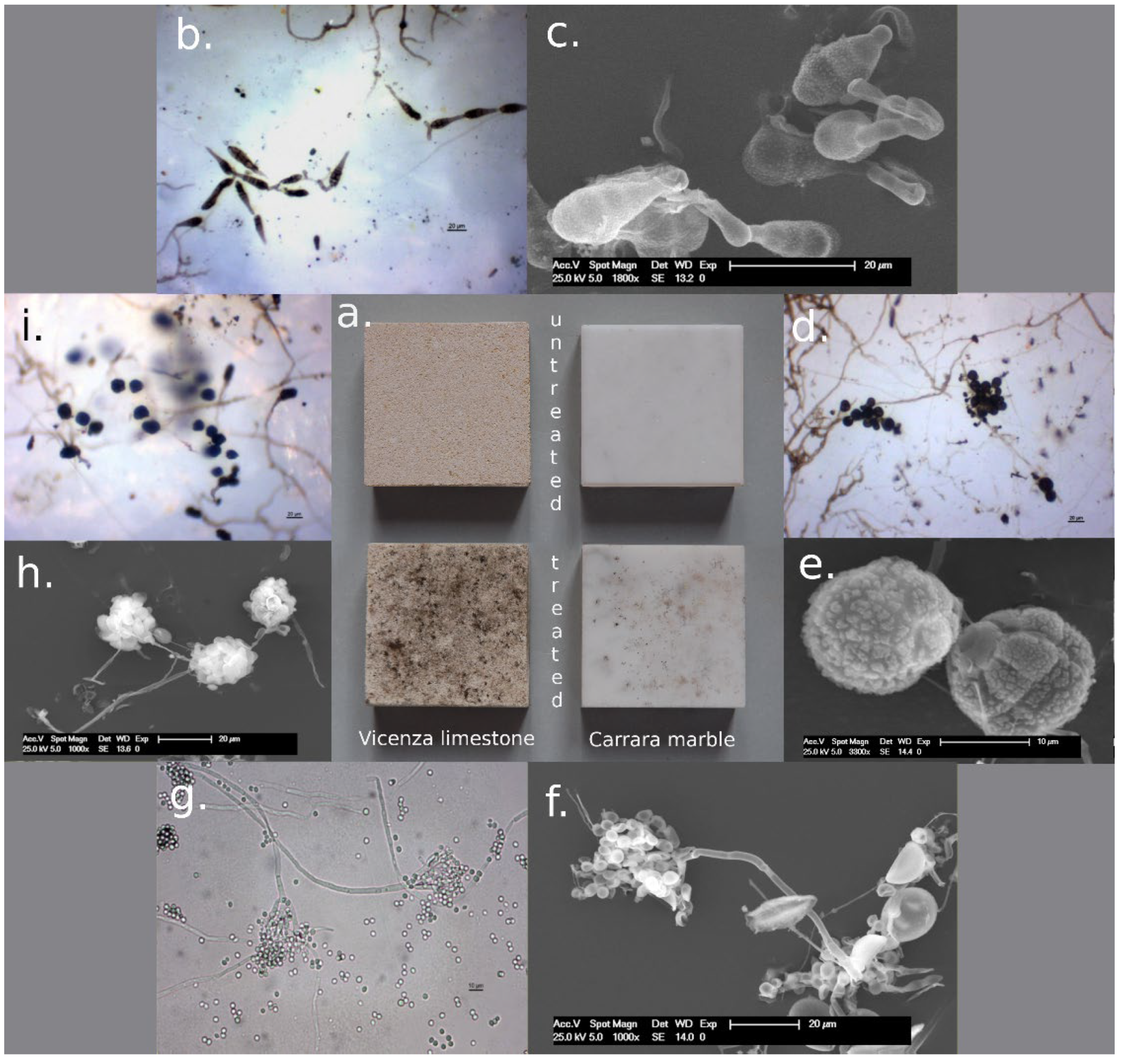 Heritage 05 00168 g007