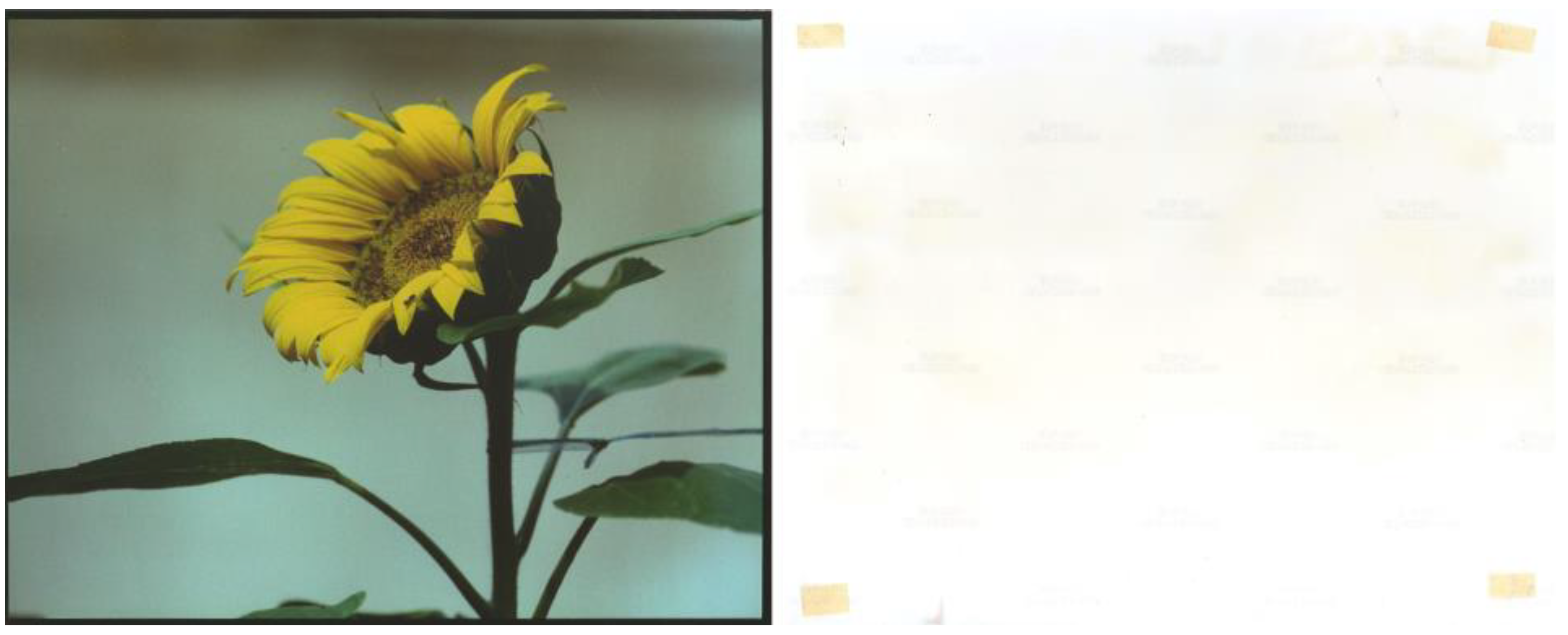 Heritage 05 00210 g004