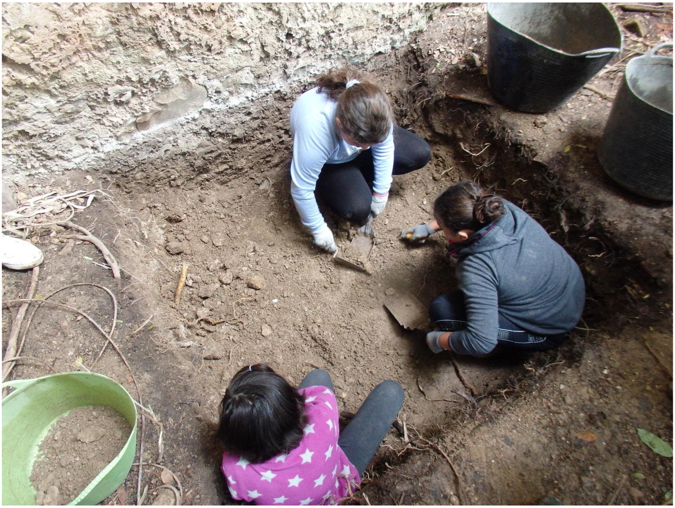 Heritage 06 00015 g008