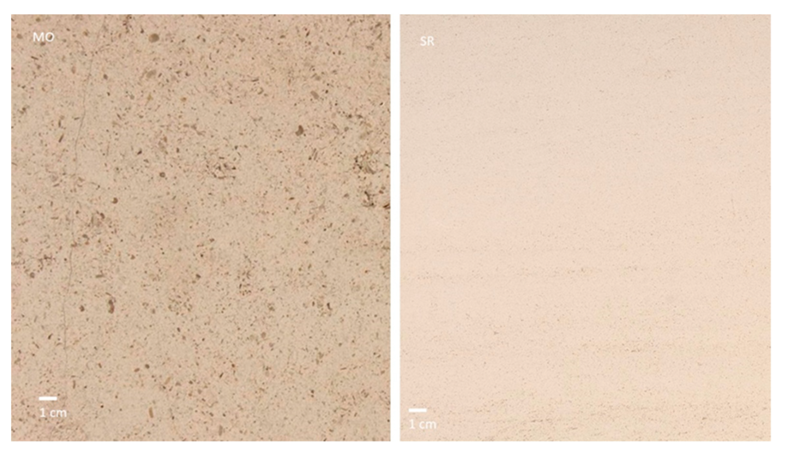 Heritage 06 00026 g003