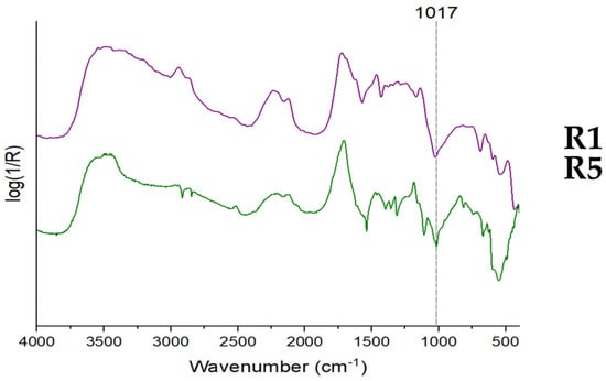 Heritage 06 00028 g0a4