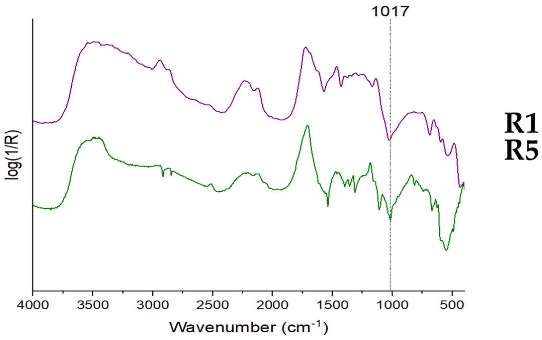 Heritage 06 00028 g0a4