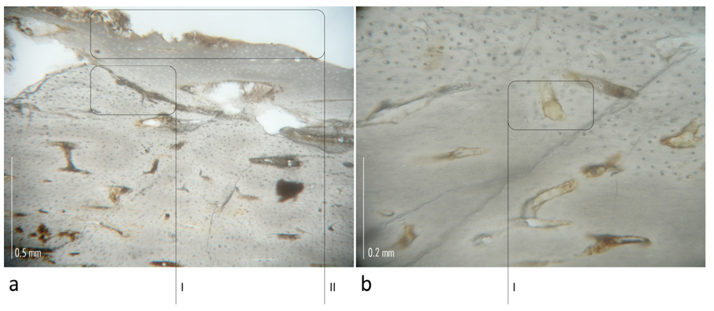 Heritage 06 00034 g004