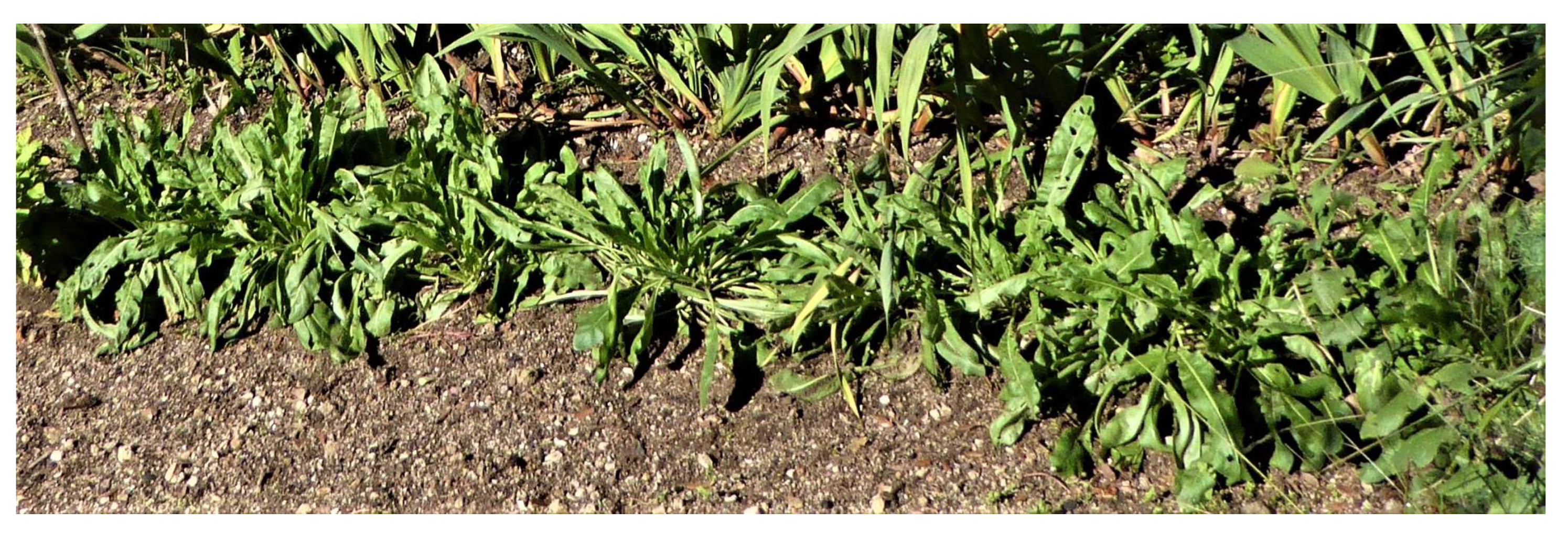 Heritage 06 00037 g002