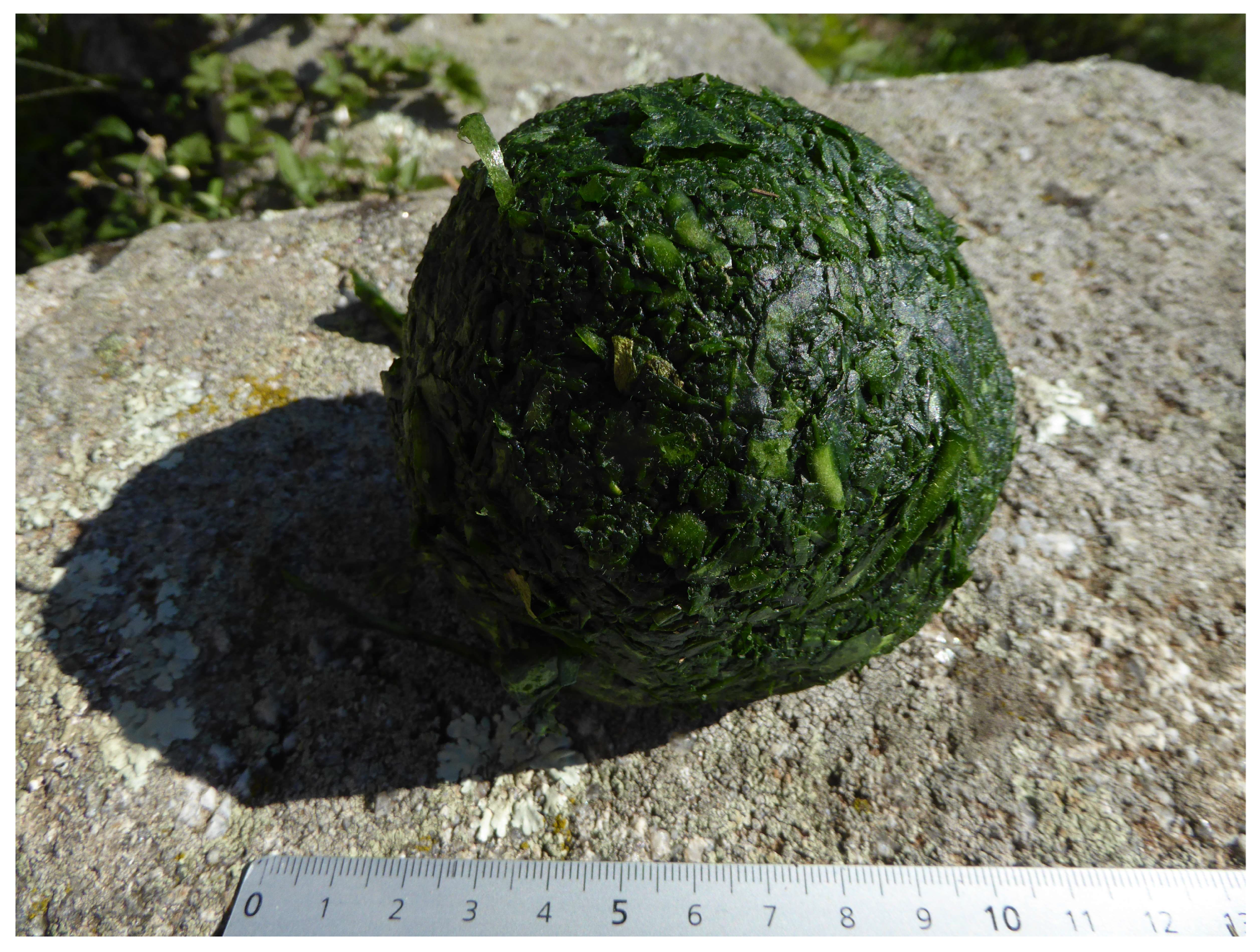 Heritage 06 00037 g003