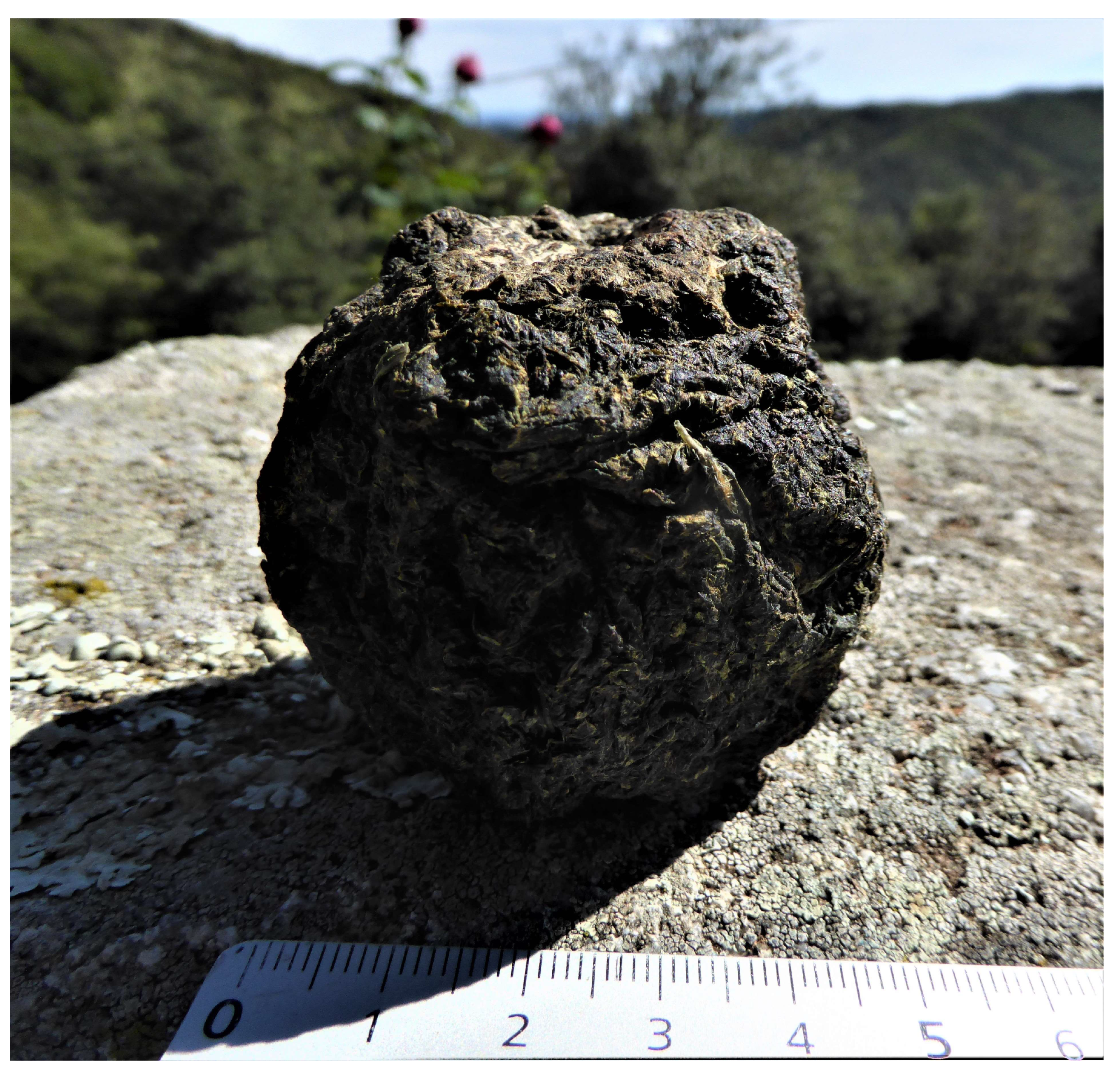 Heritage 06 00037 g004