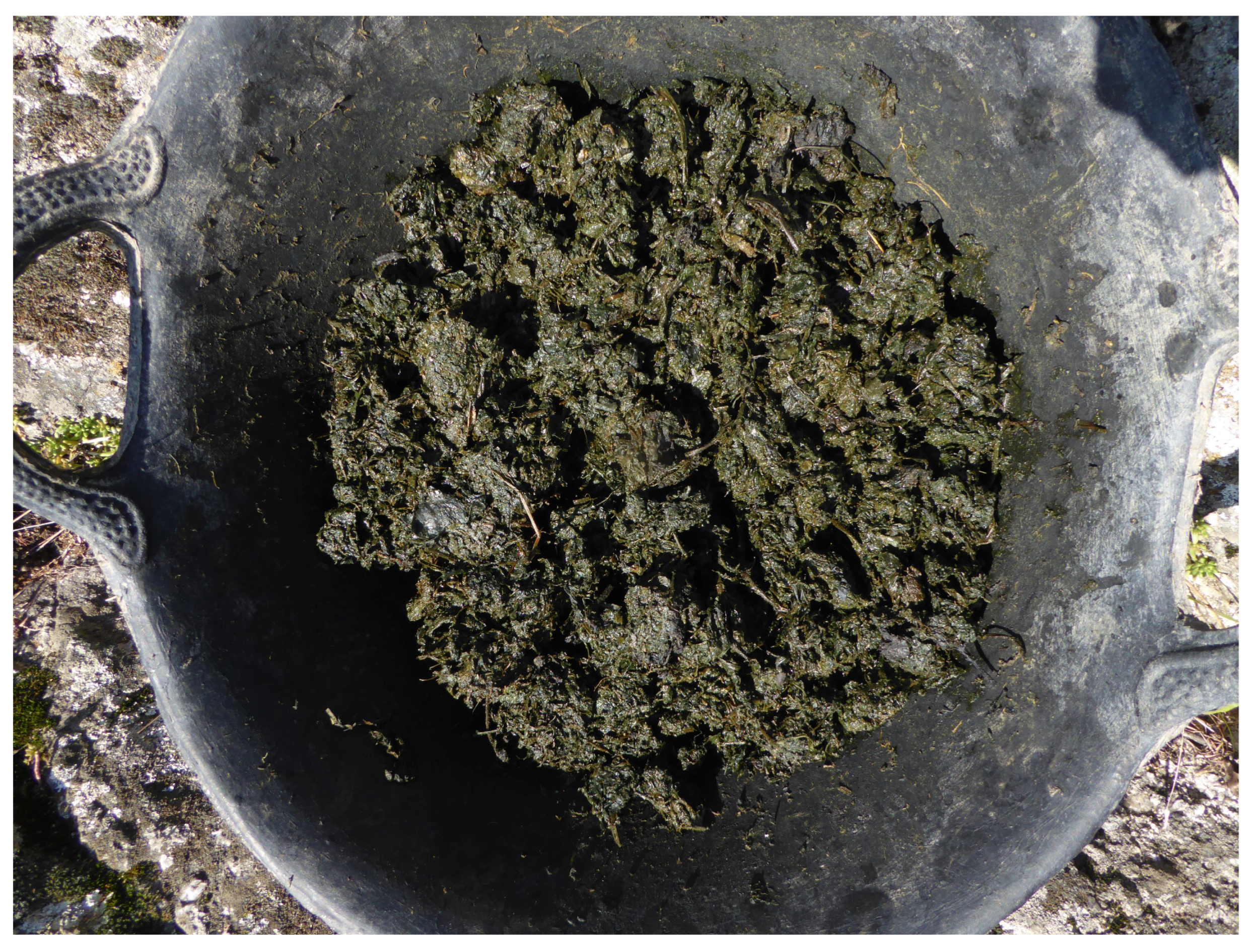 Heritage 06 00037 g007