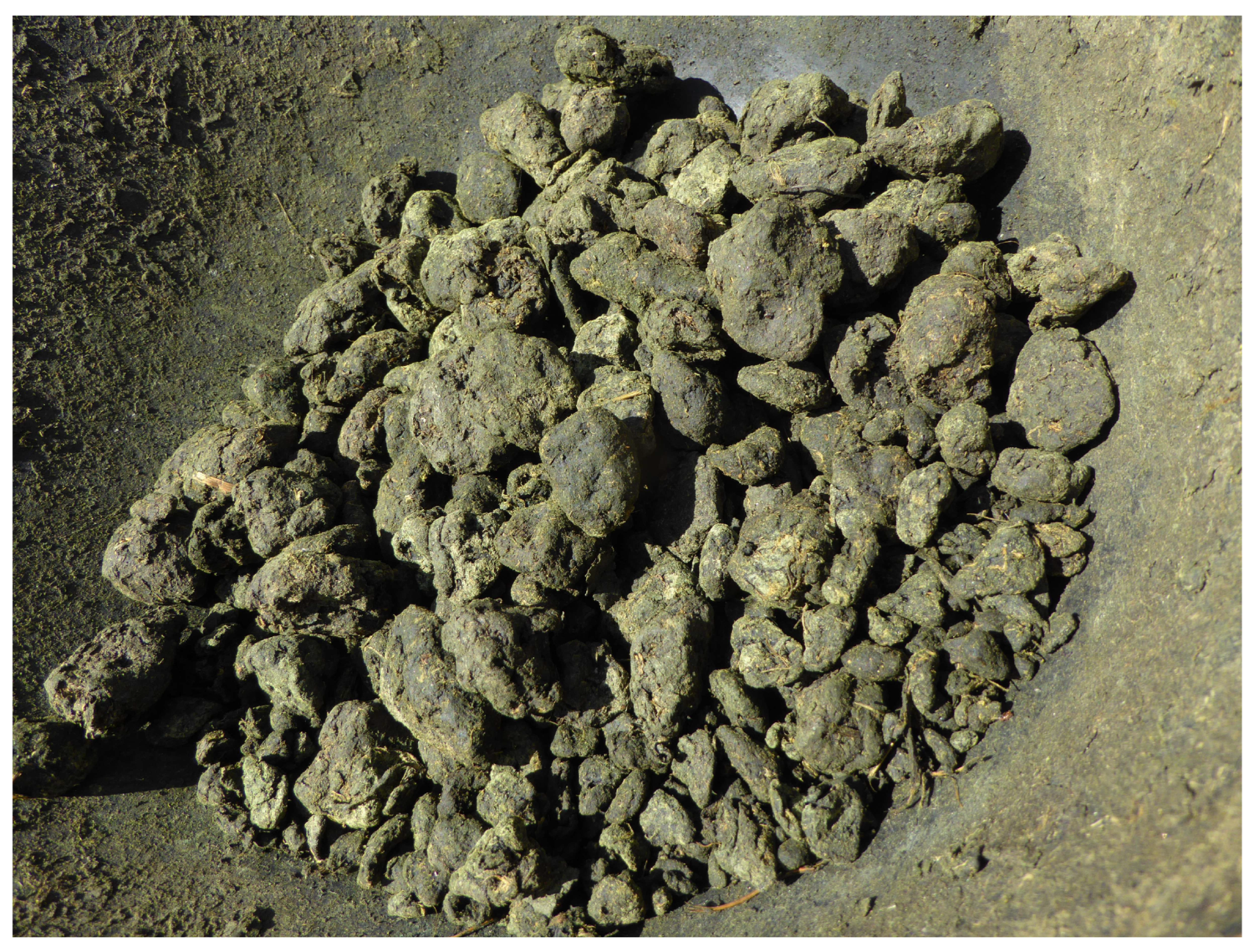 Heritage 06 00037 g009