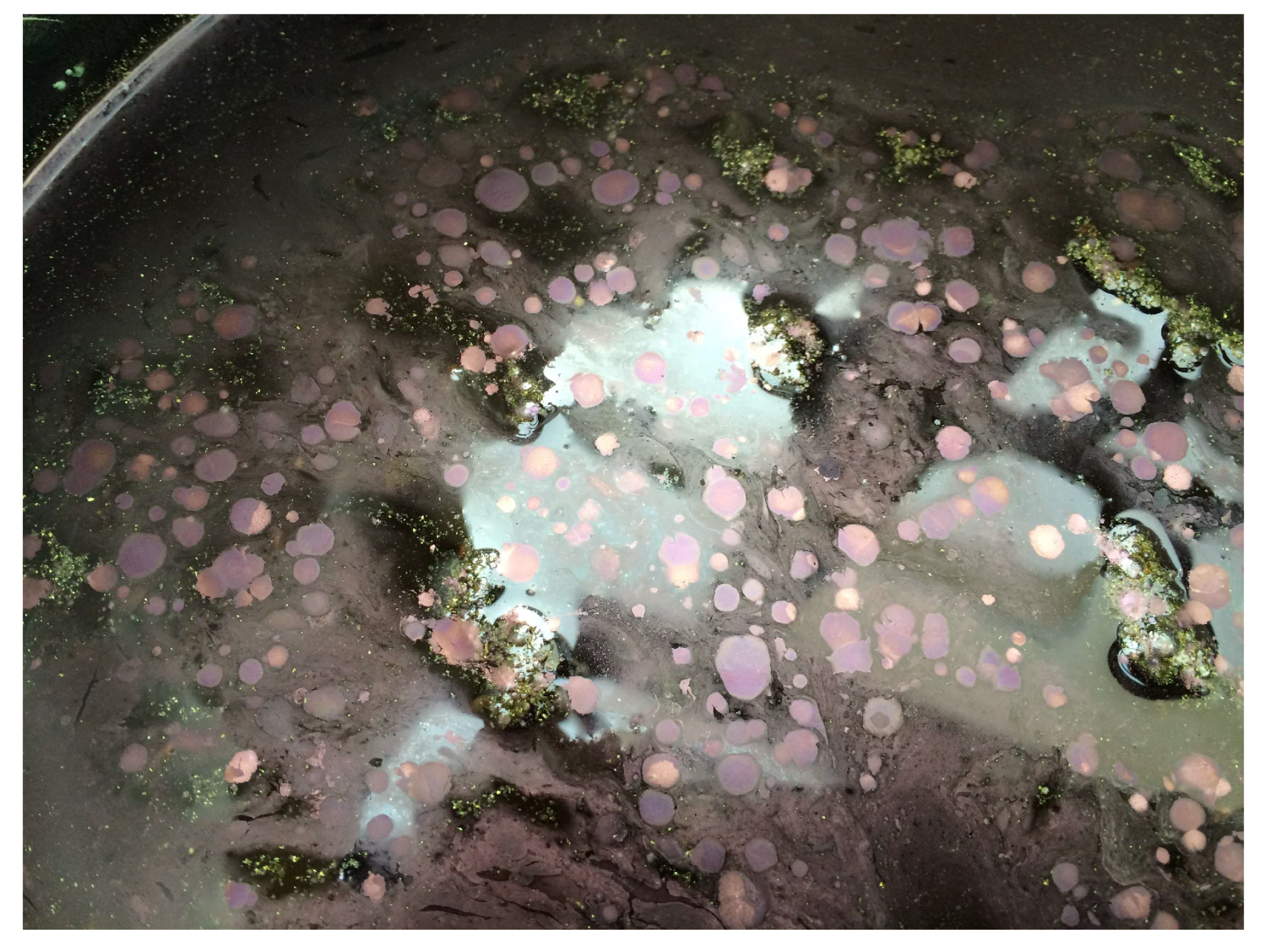 Heritage 06 00037 g014