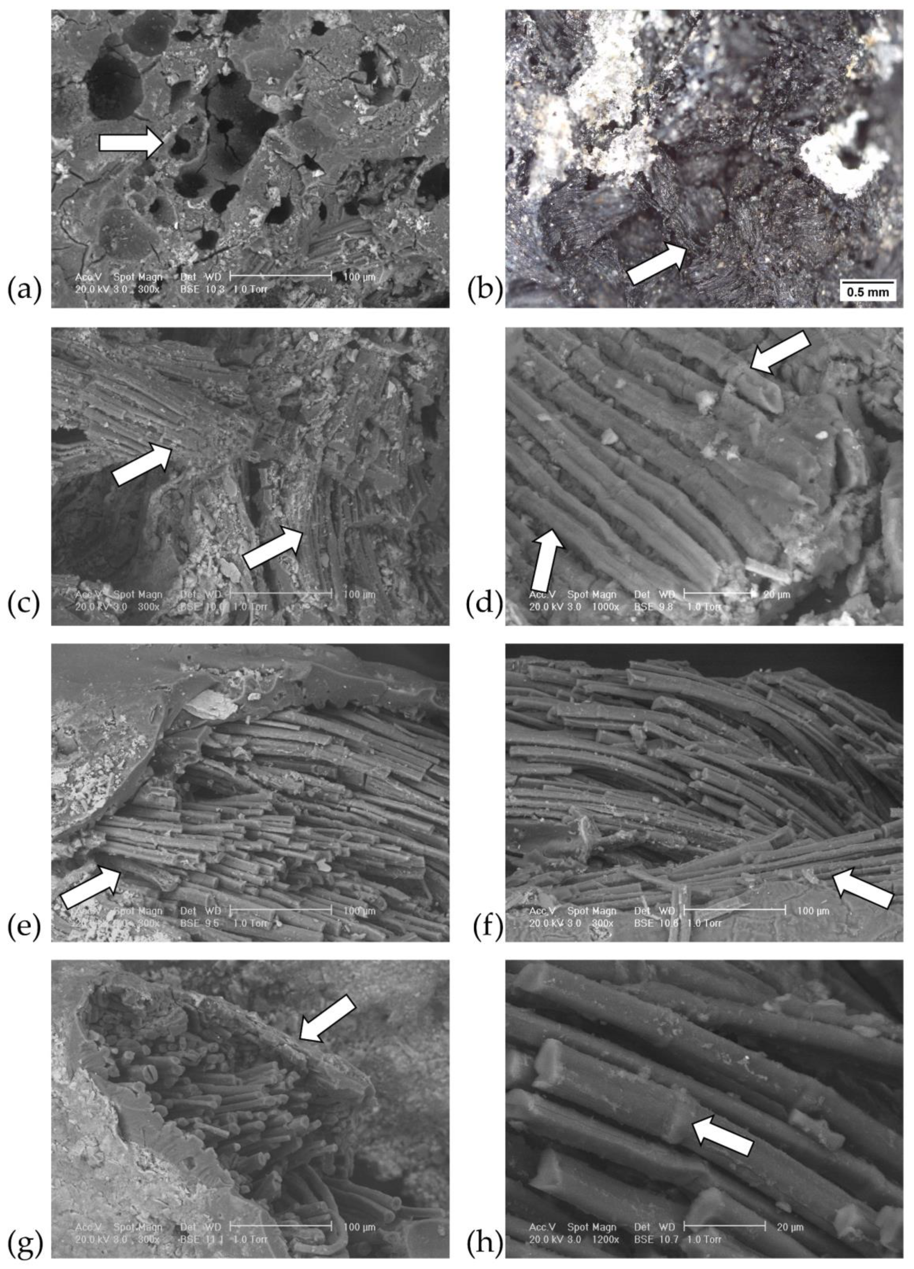 Heritage 06 00047 g005