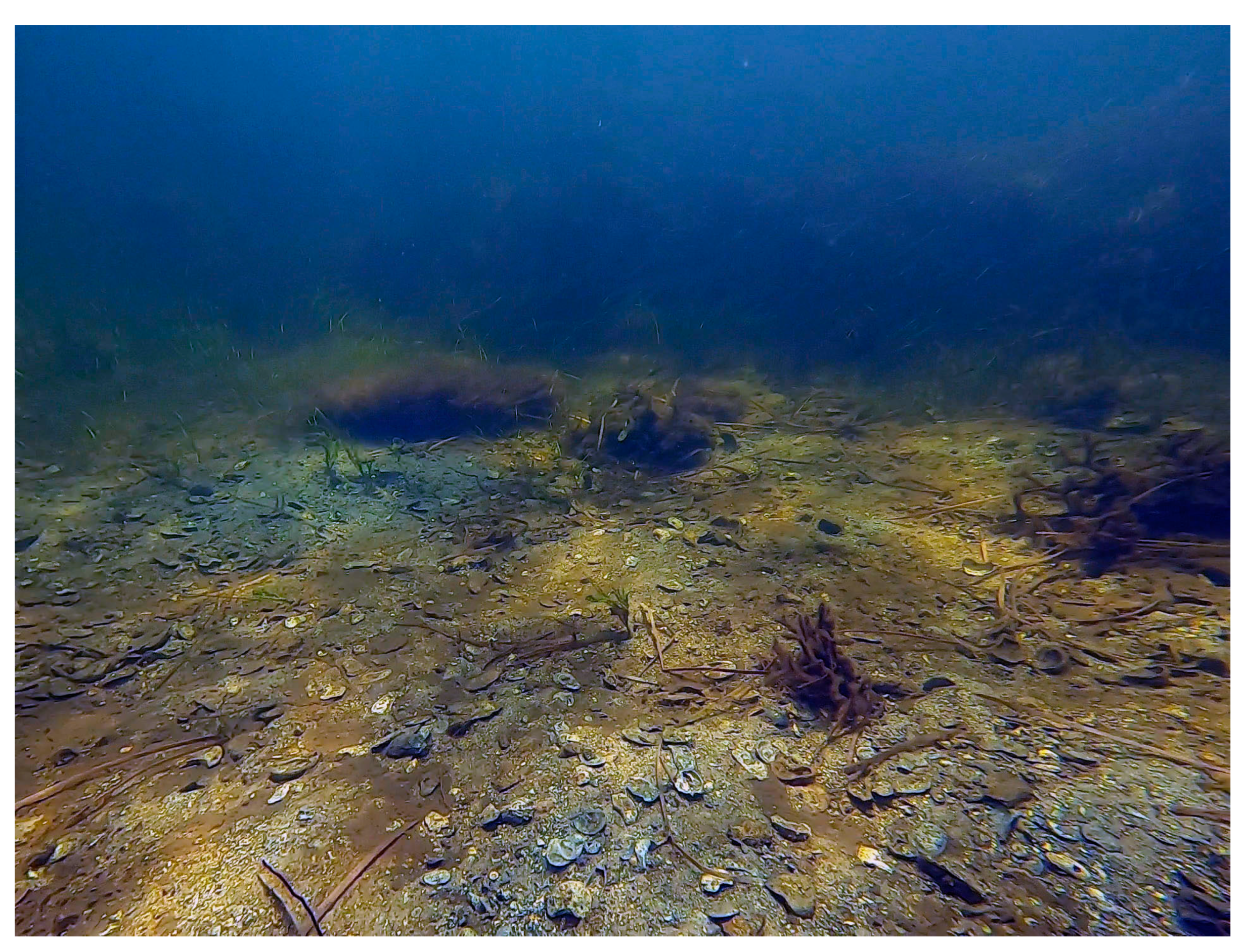 Heritage 06 00051 g006