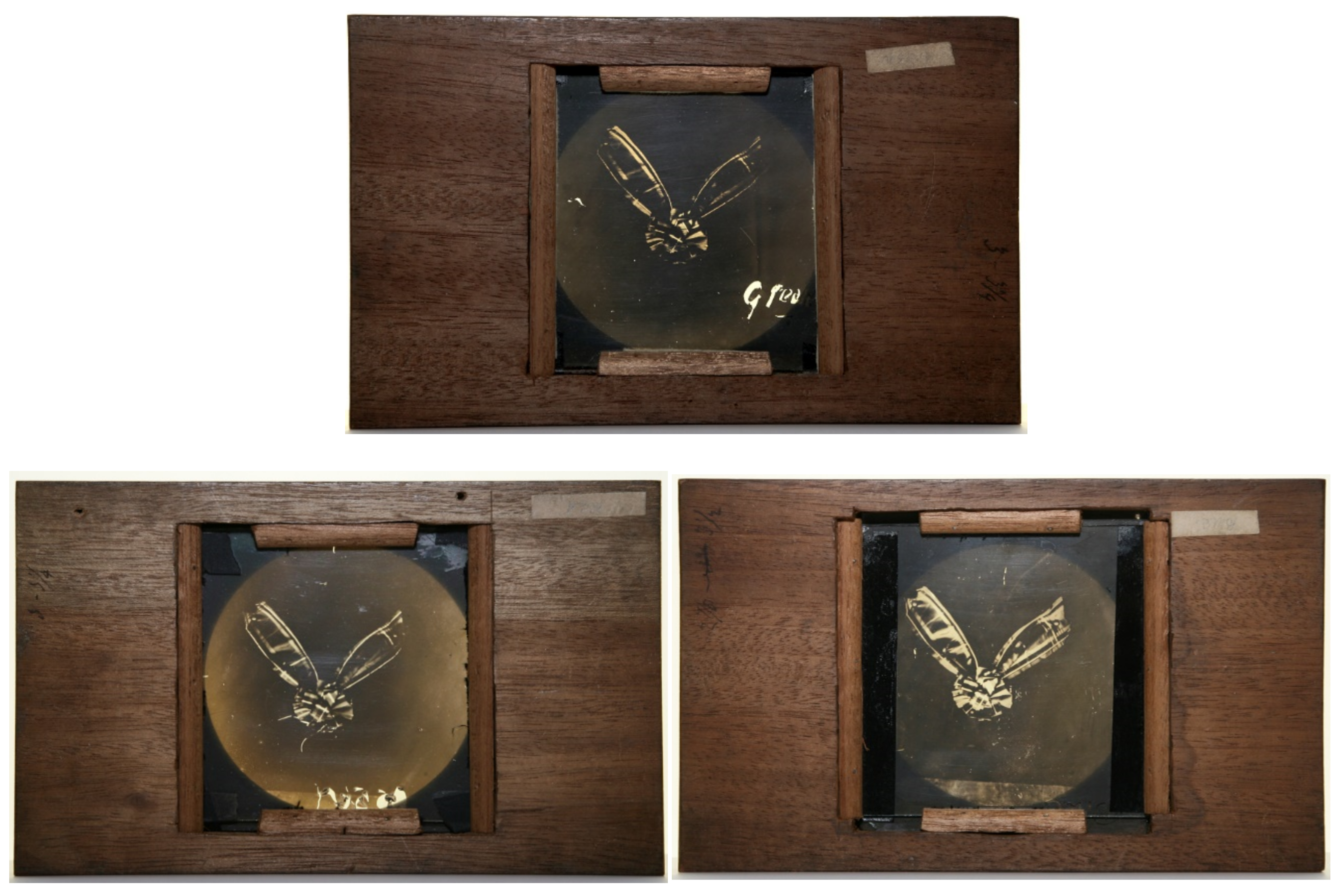 Heritage 06 00054 g001