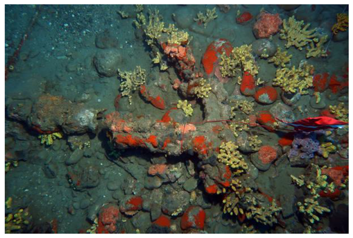 Heritage 06 00058 g019