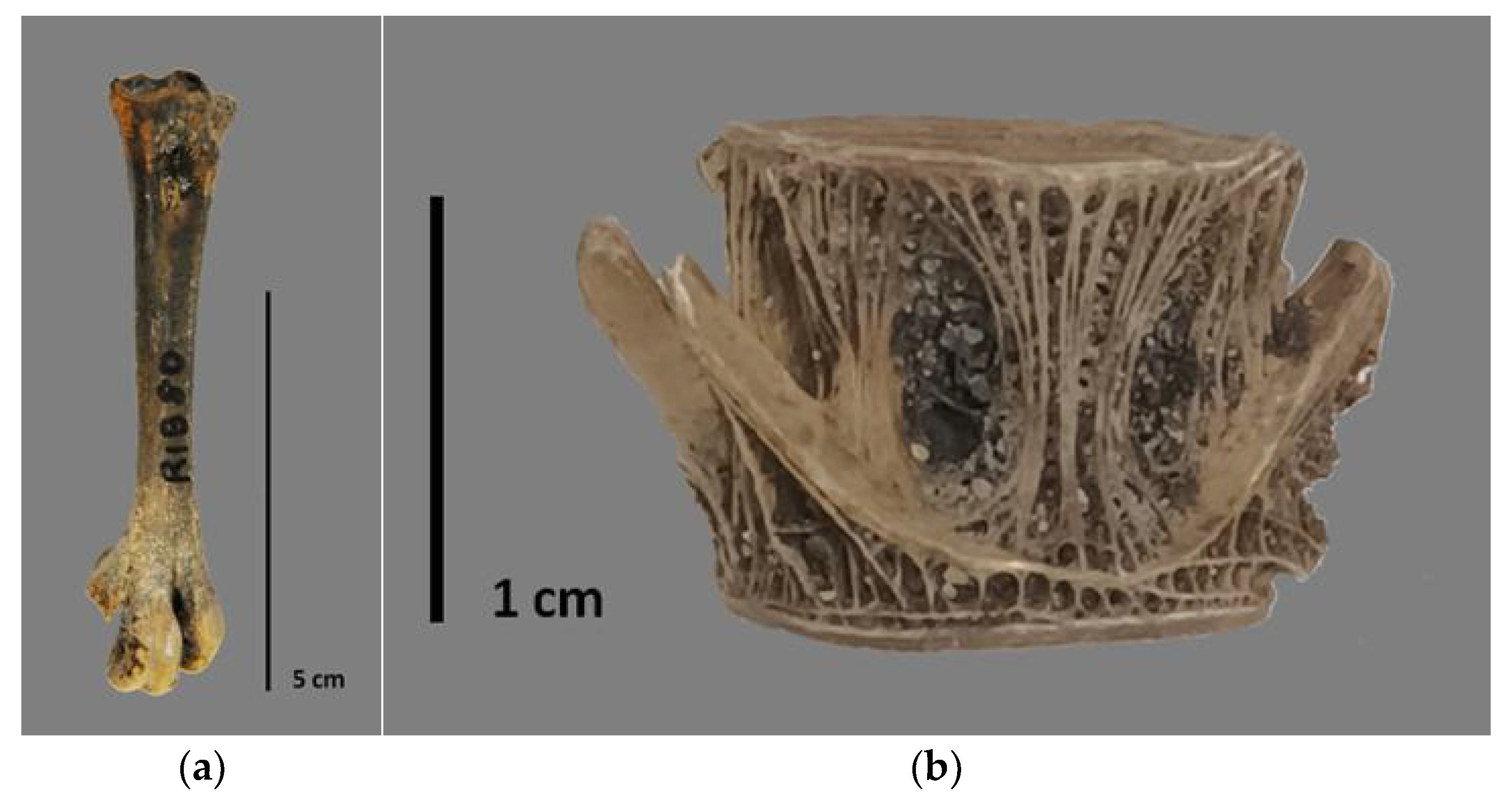 Heritage 06 00062 g003