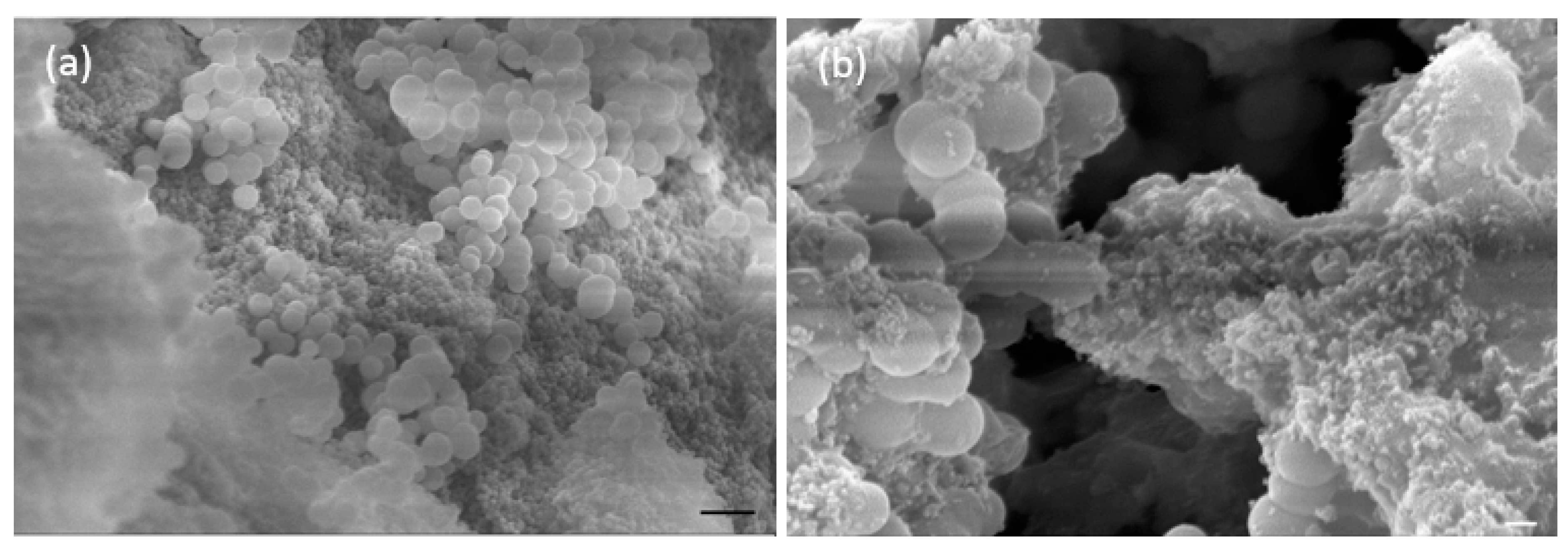 Heritage 06 00064 g005