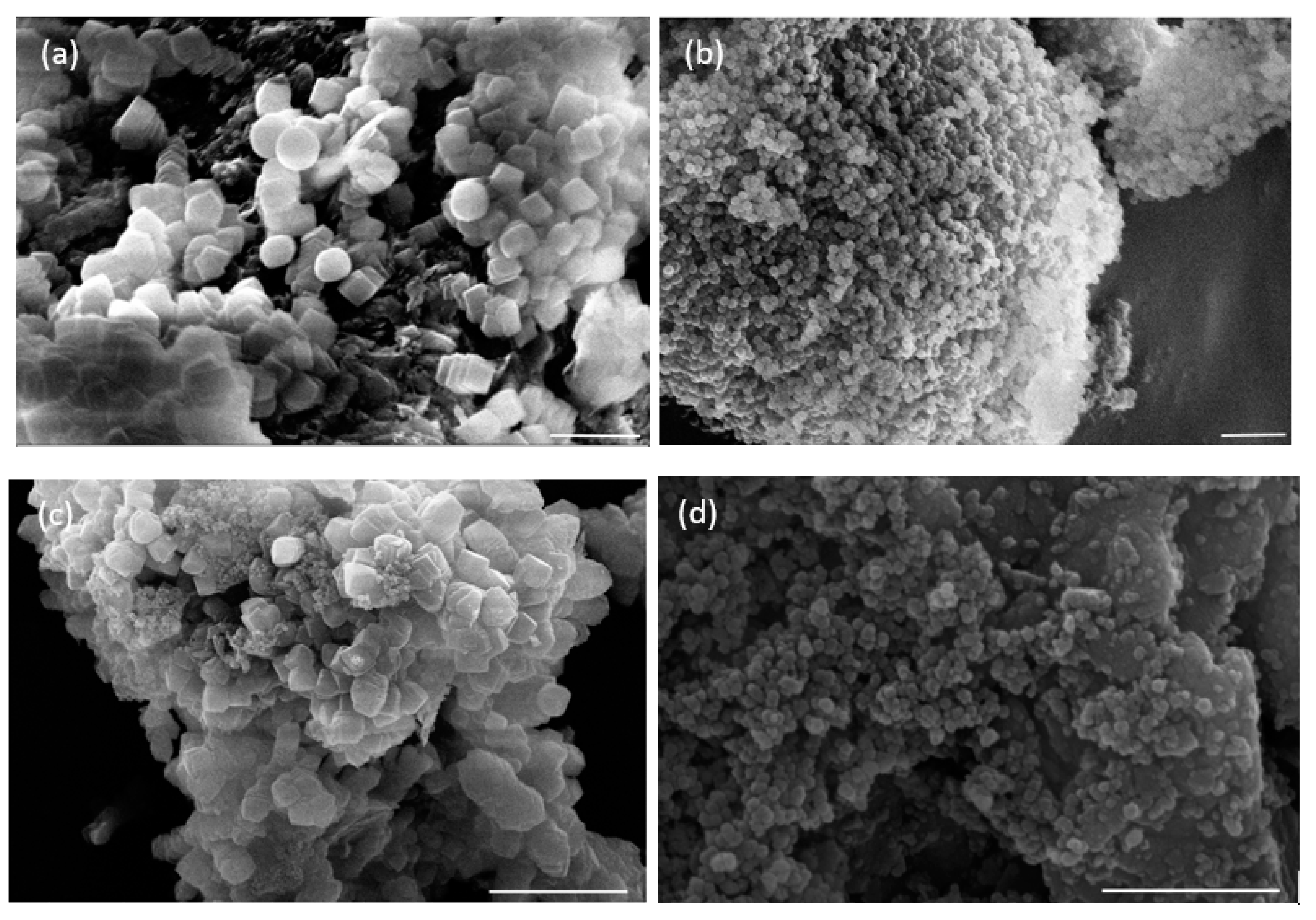 Heritage 06 00064 g006