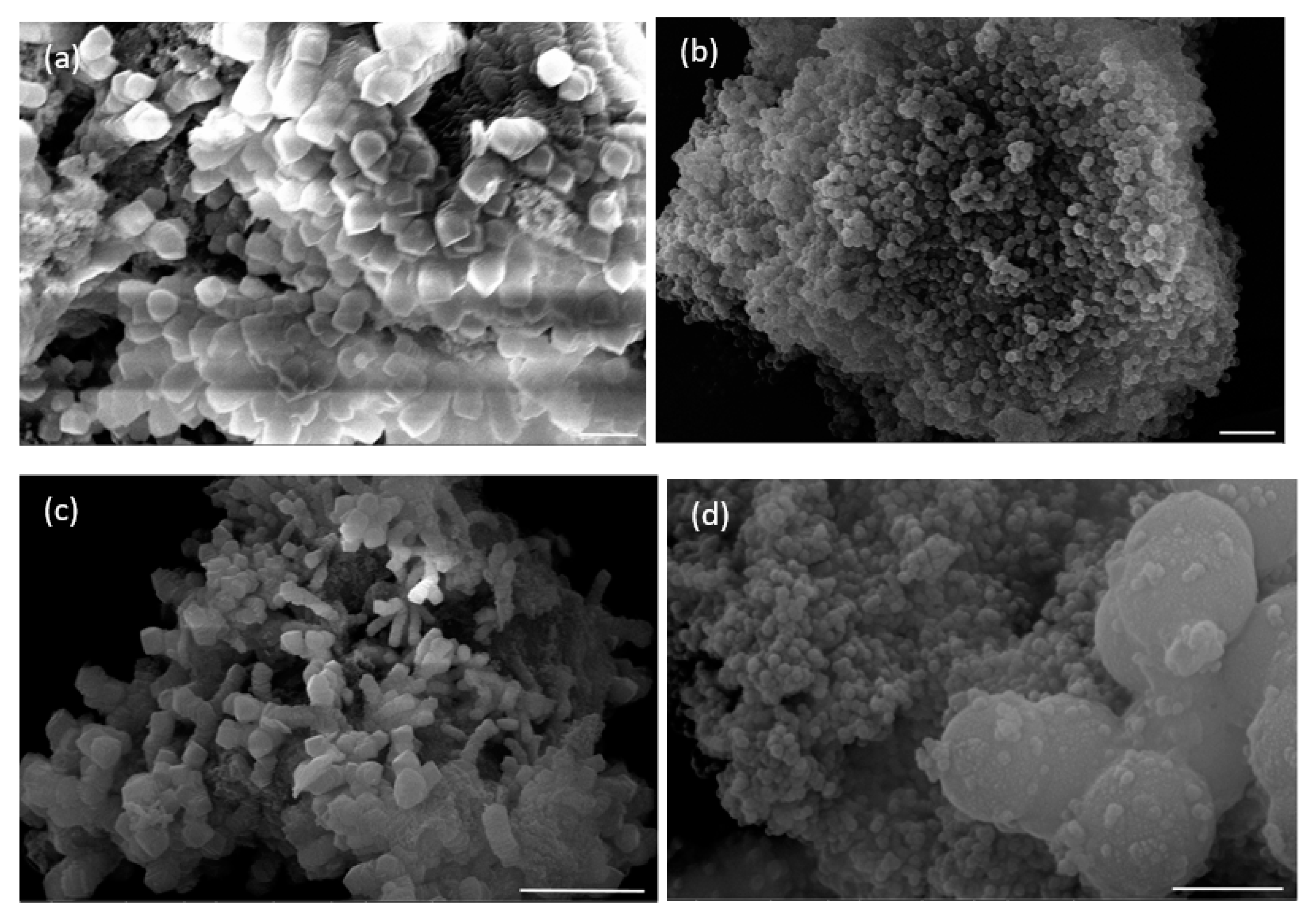 Heritage 06 00064 g008