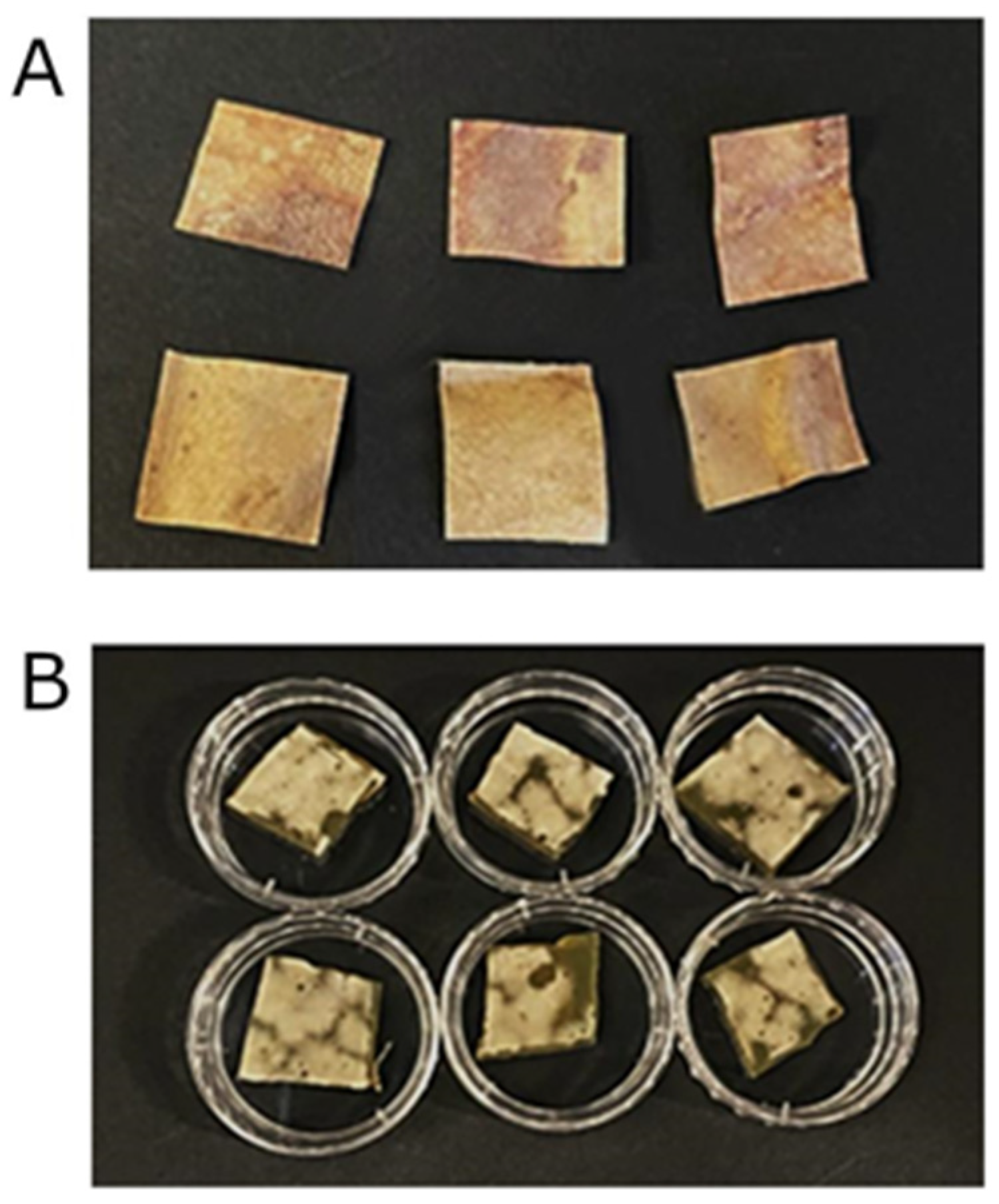 Heritage 06 00072 g002