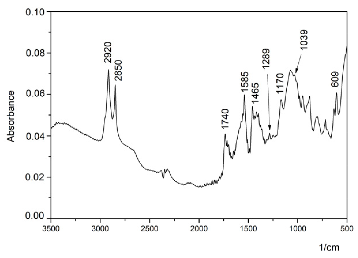 Heritage 06 00078 g002