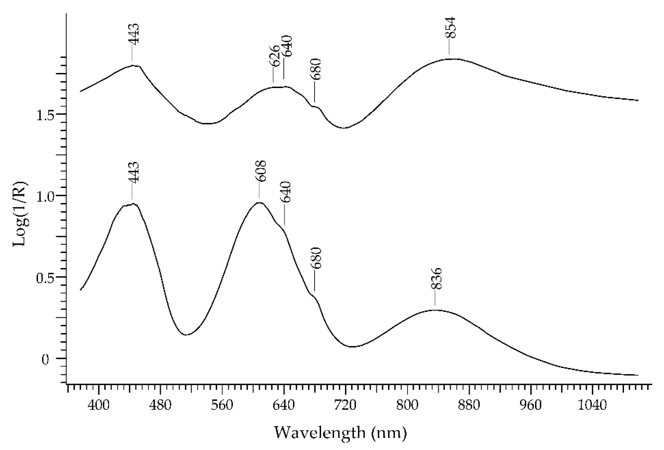 Heritage 06 00089 g001