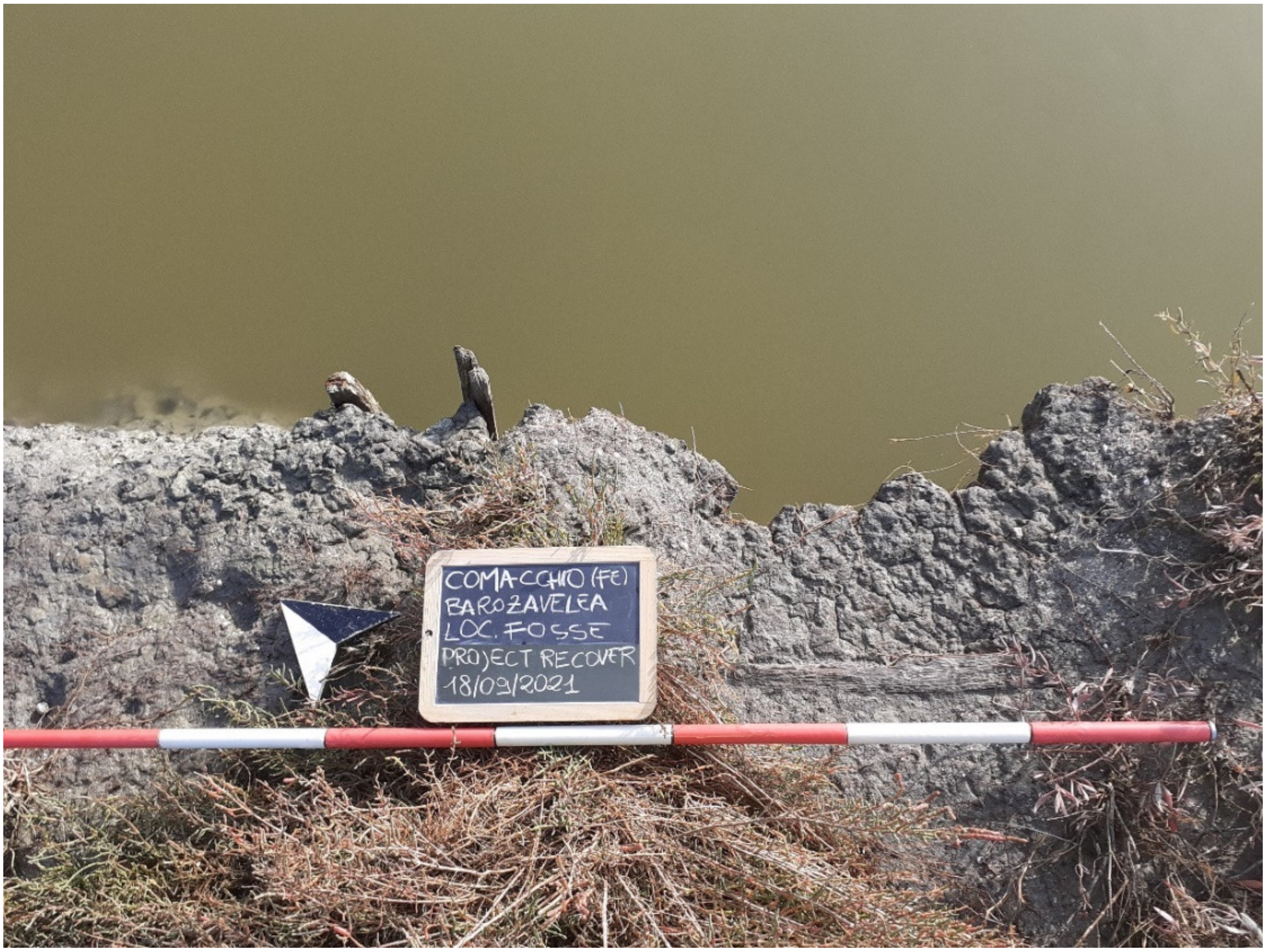 Heritage 06 00096 g015