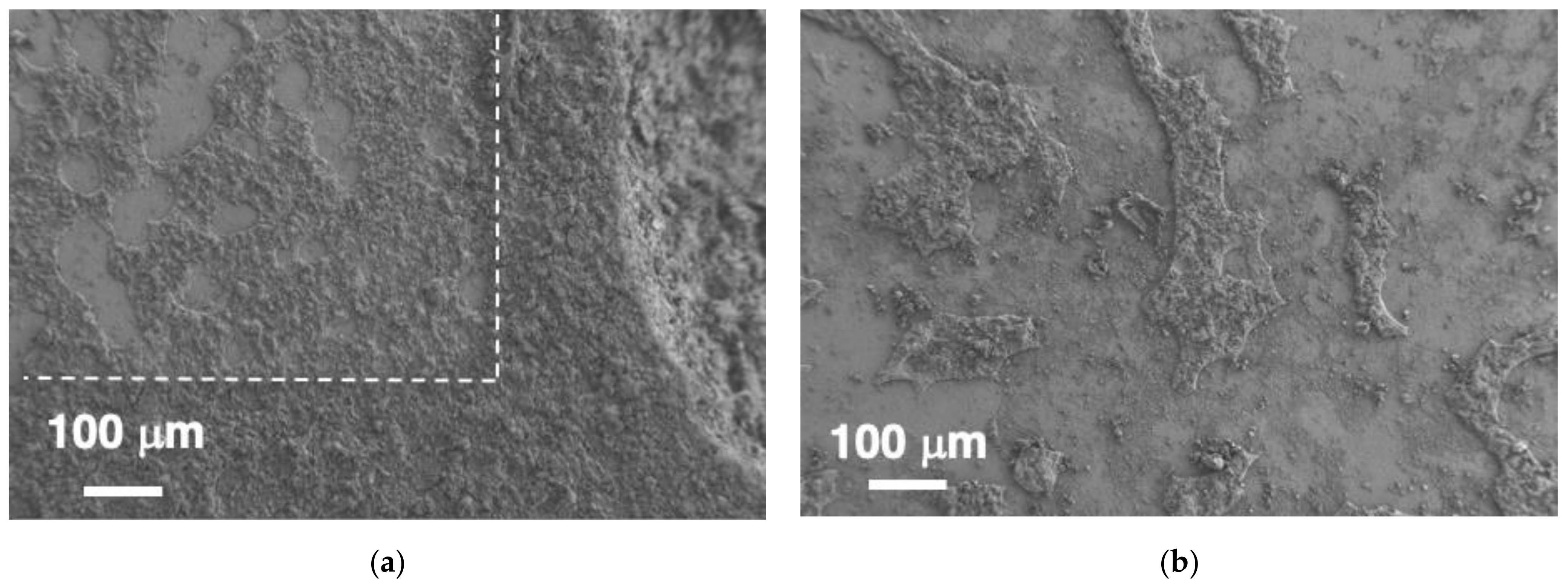 Heritage 06 00104 g009