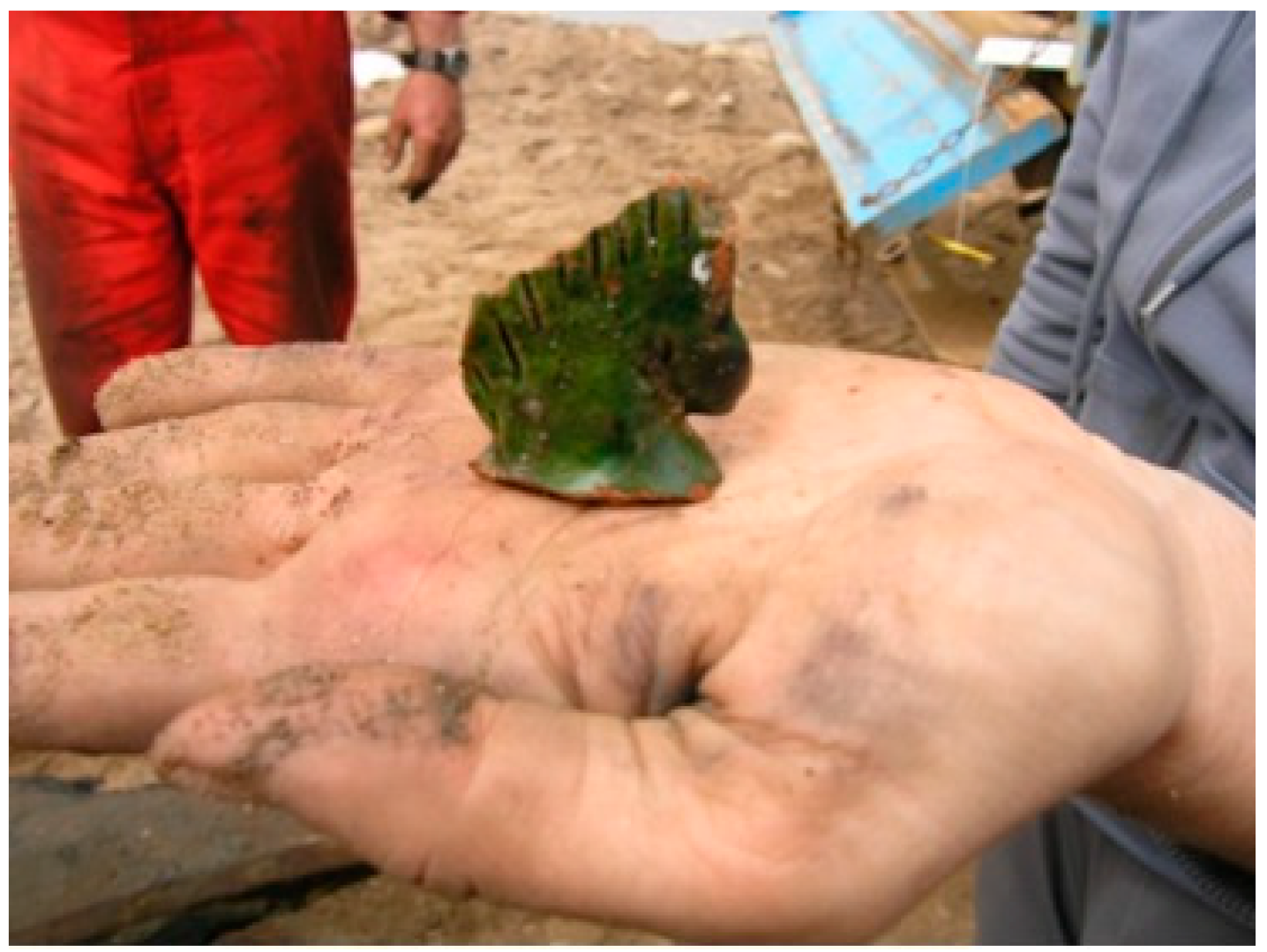 Heritage 06 00109 g002 Heritage 06 00109 g002