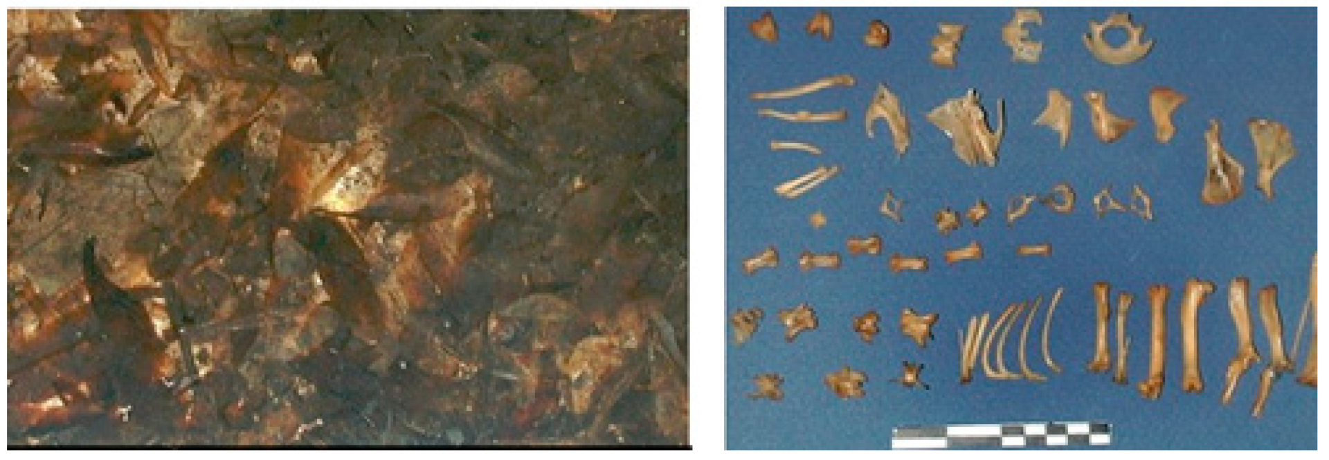 Heritage 06 00109 g008 Heritage 06 00109 g008