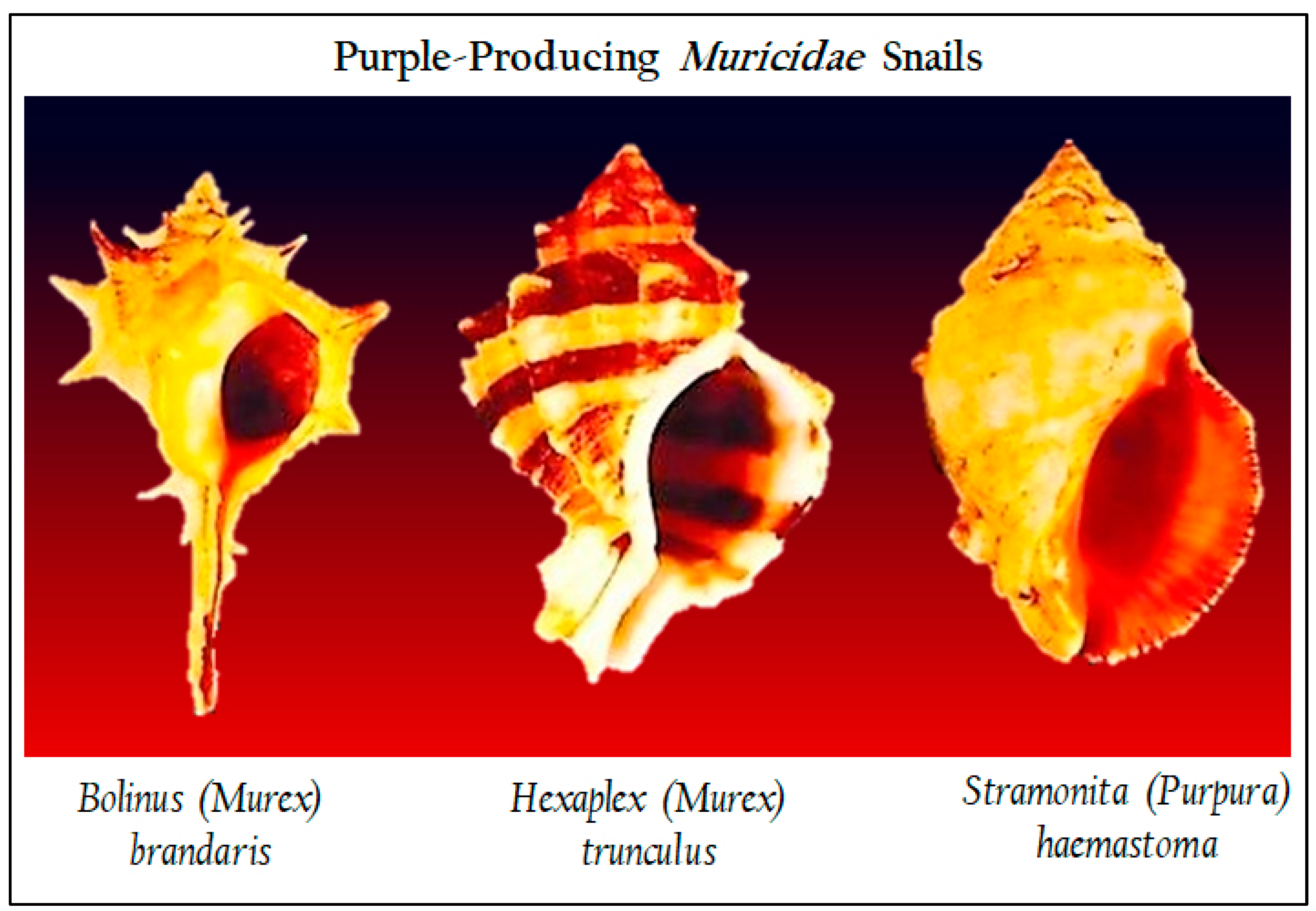 Heritage 06 00116 g001