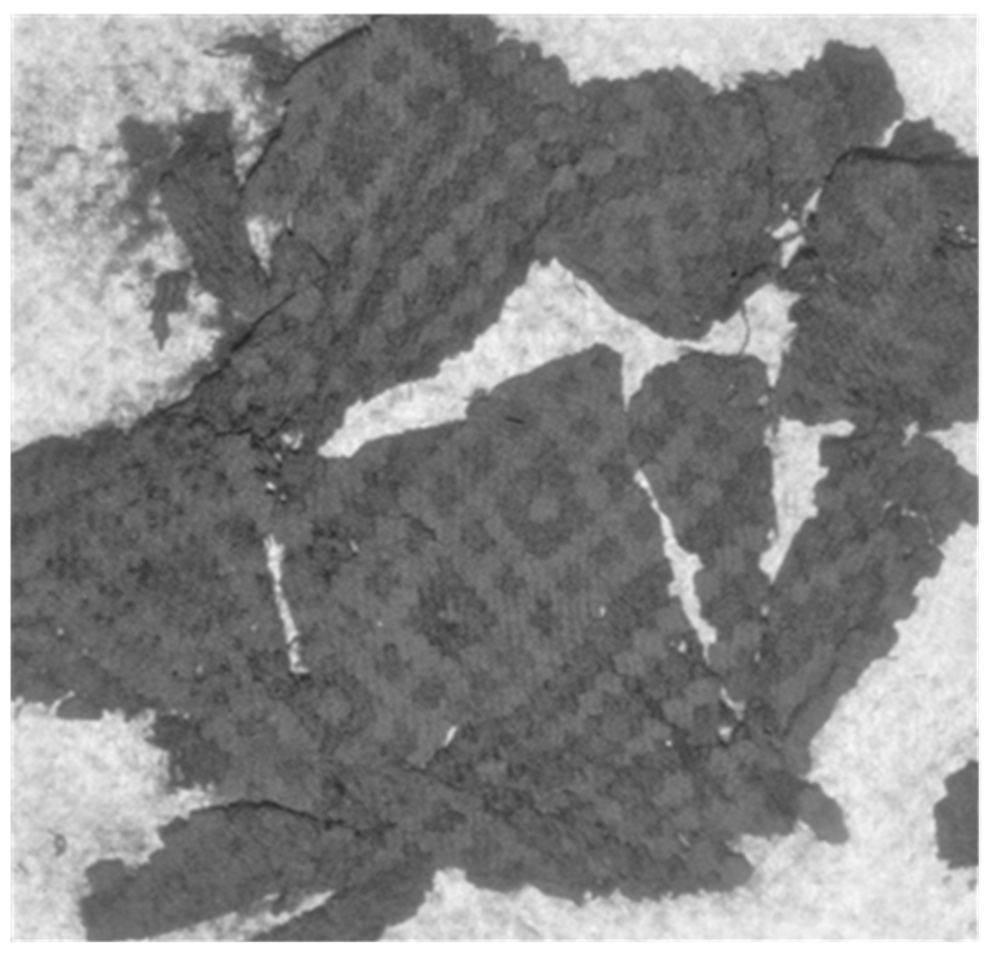 Heritage 06 00118 g006