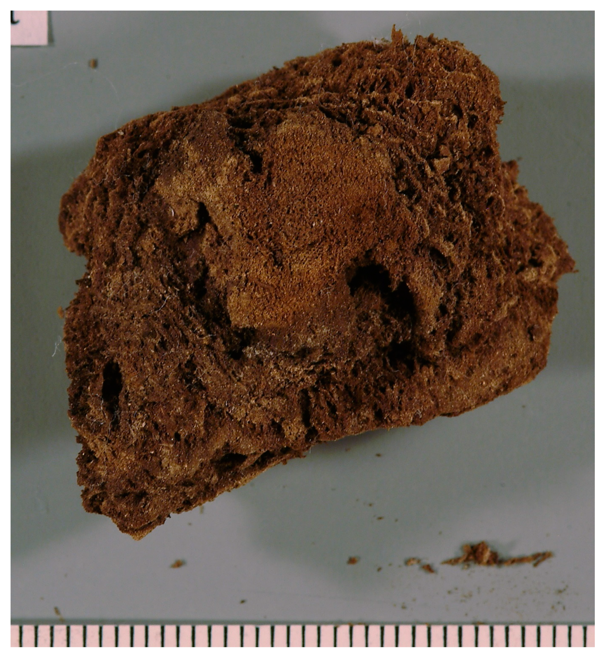 Heritage 06 00118 g017